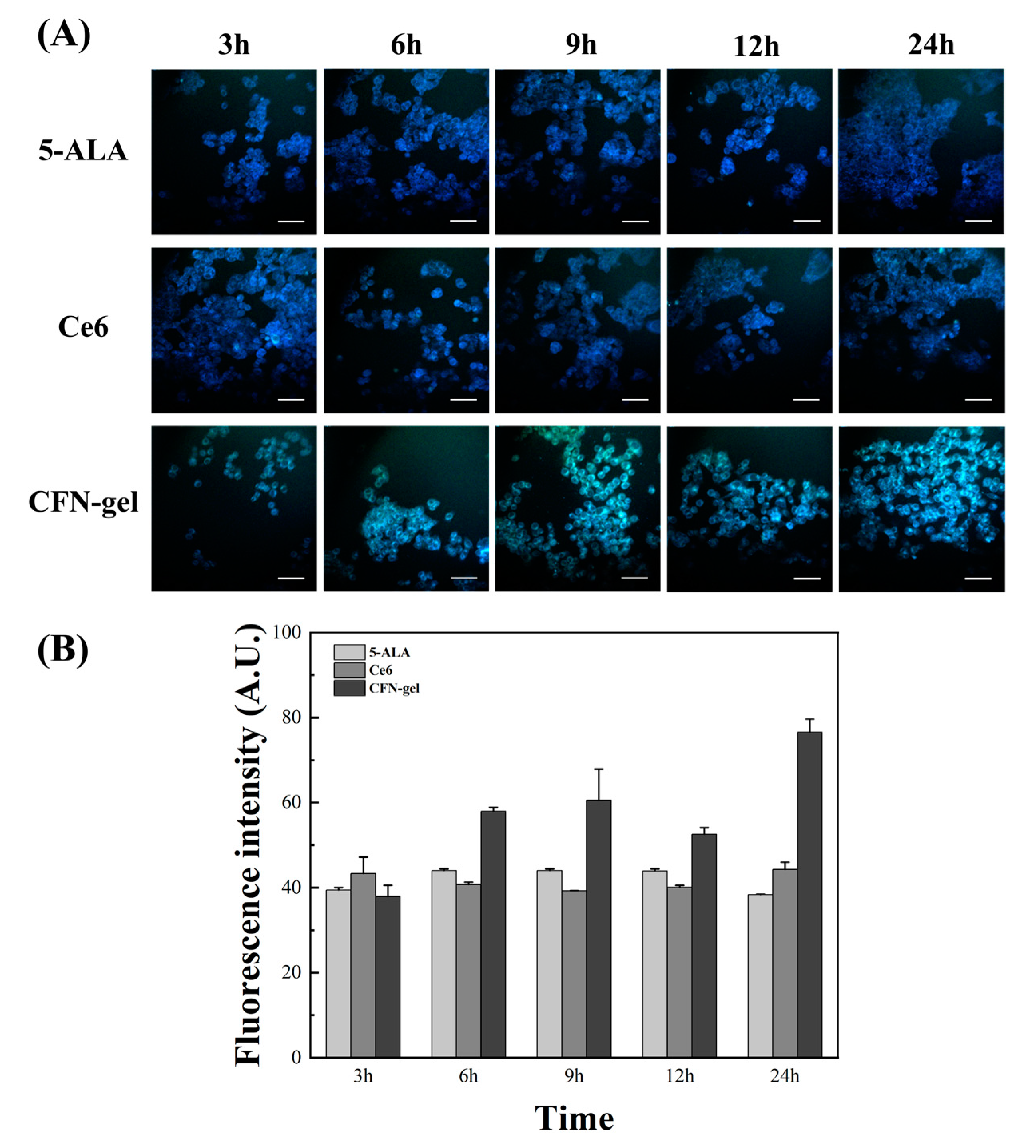 Pharmaceutics 15 00930 g003