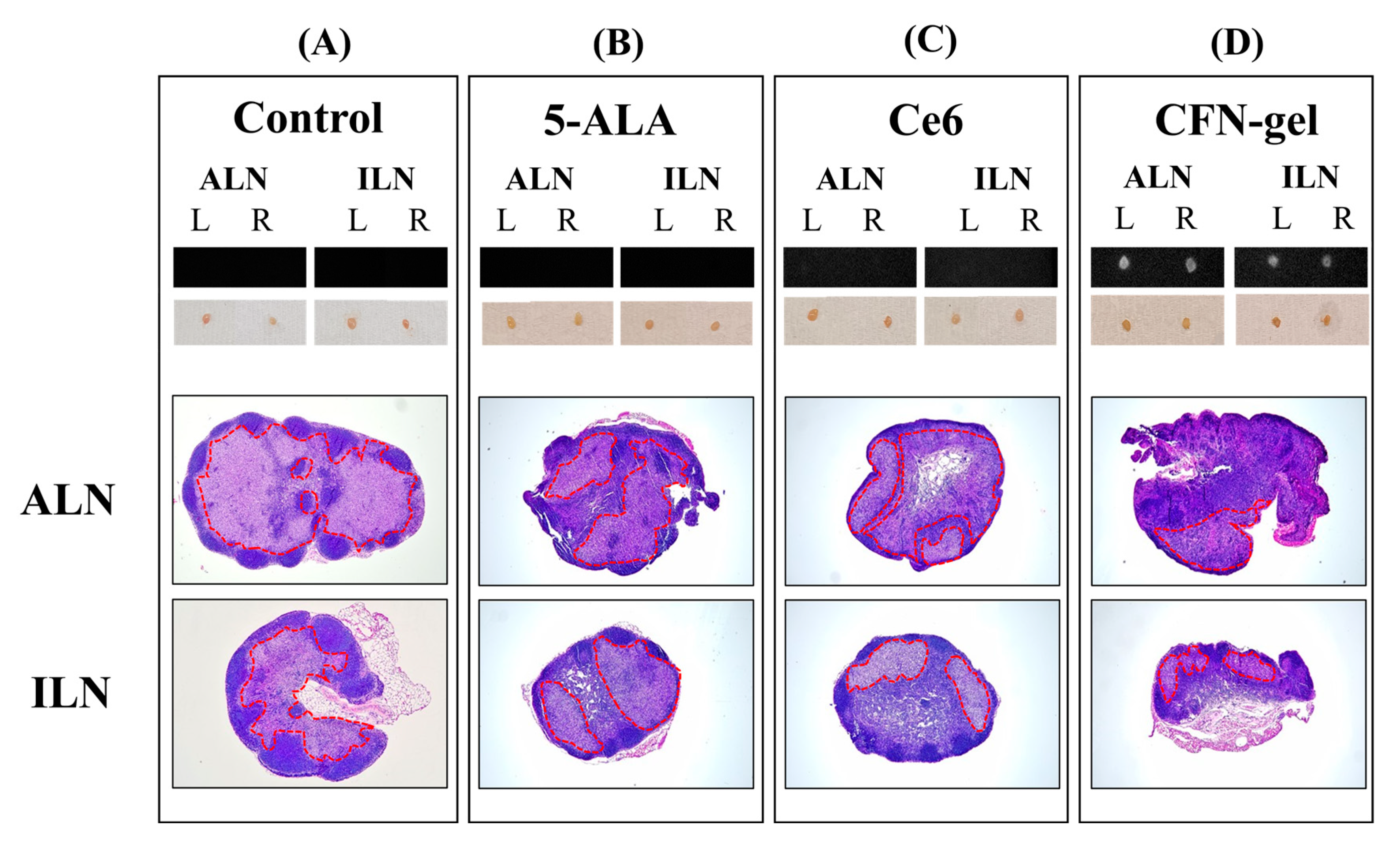 Pharmaceutics 15 00930 g006