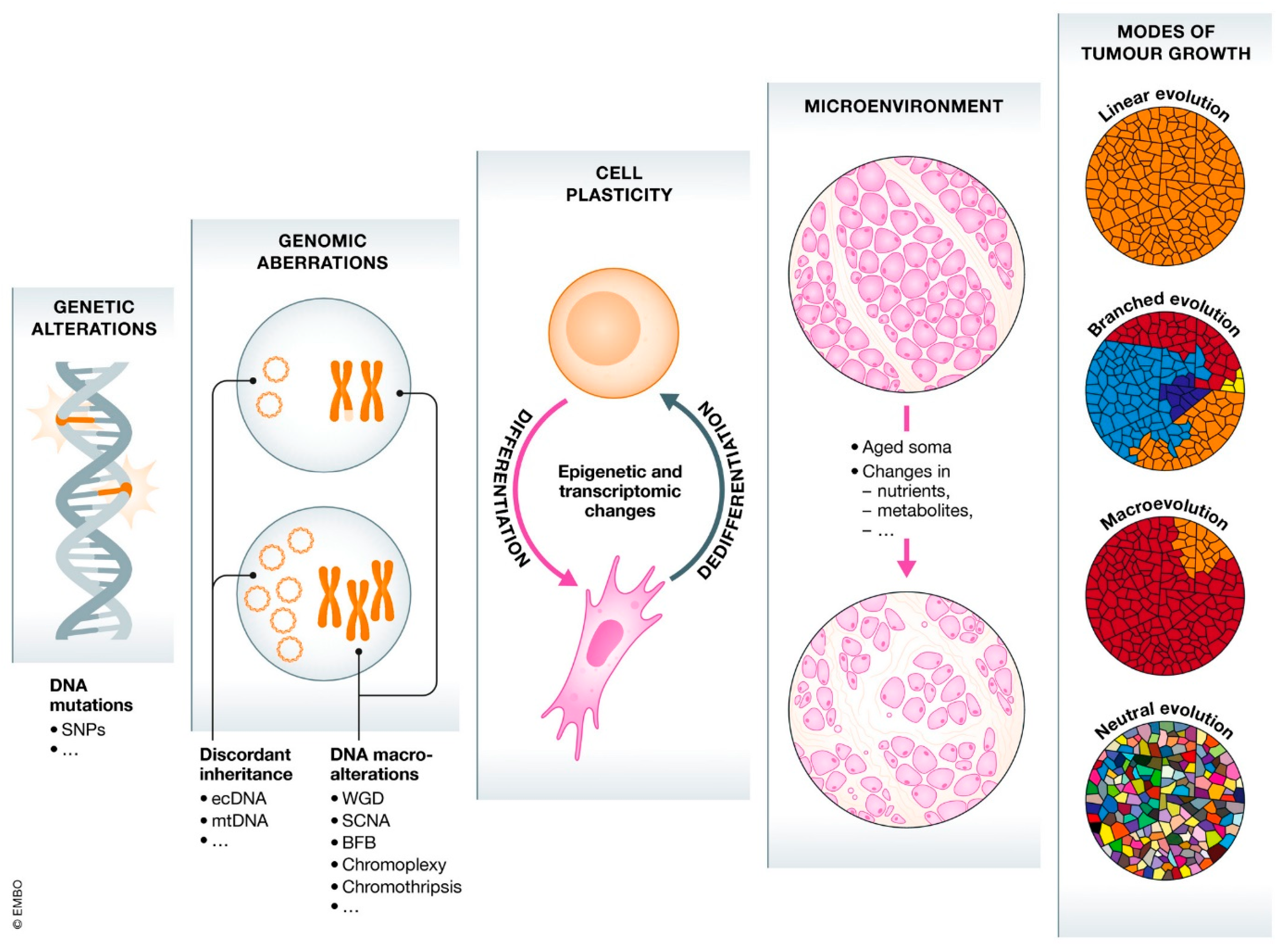 Pharmaceutics 15 00931 g003