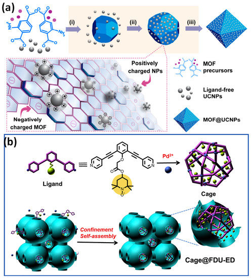 Utilization of Functionalized Metal–Organic Framework Nanoparticle