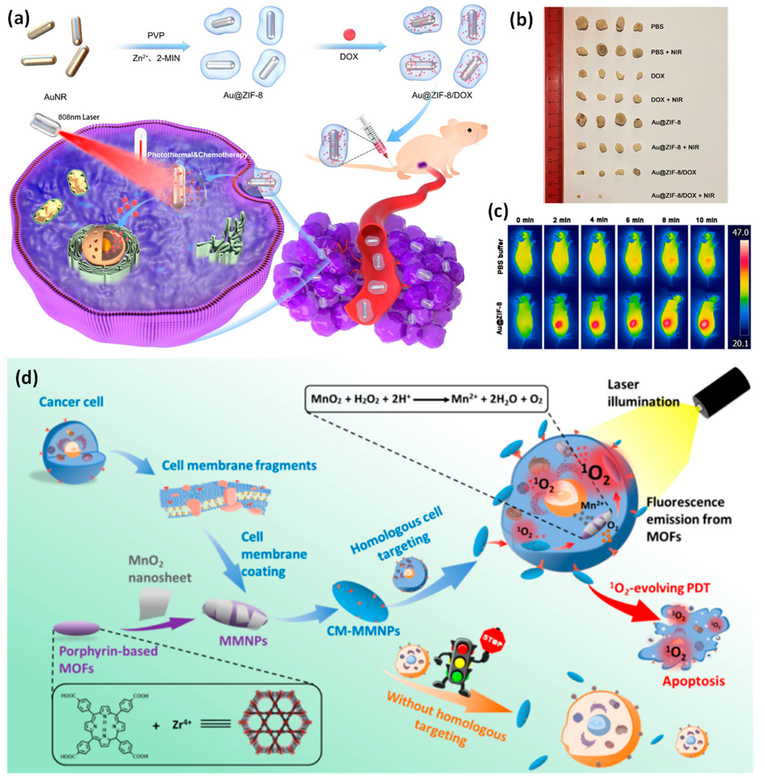 Pharmaceutics 15 00931 g008