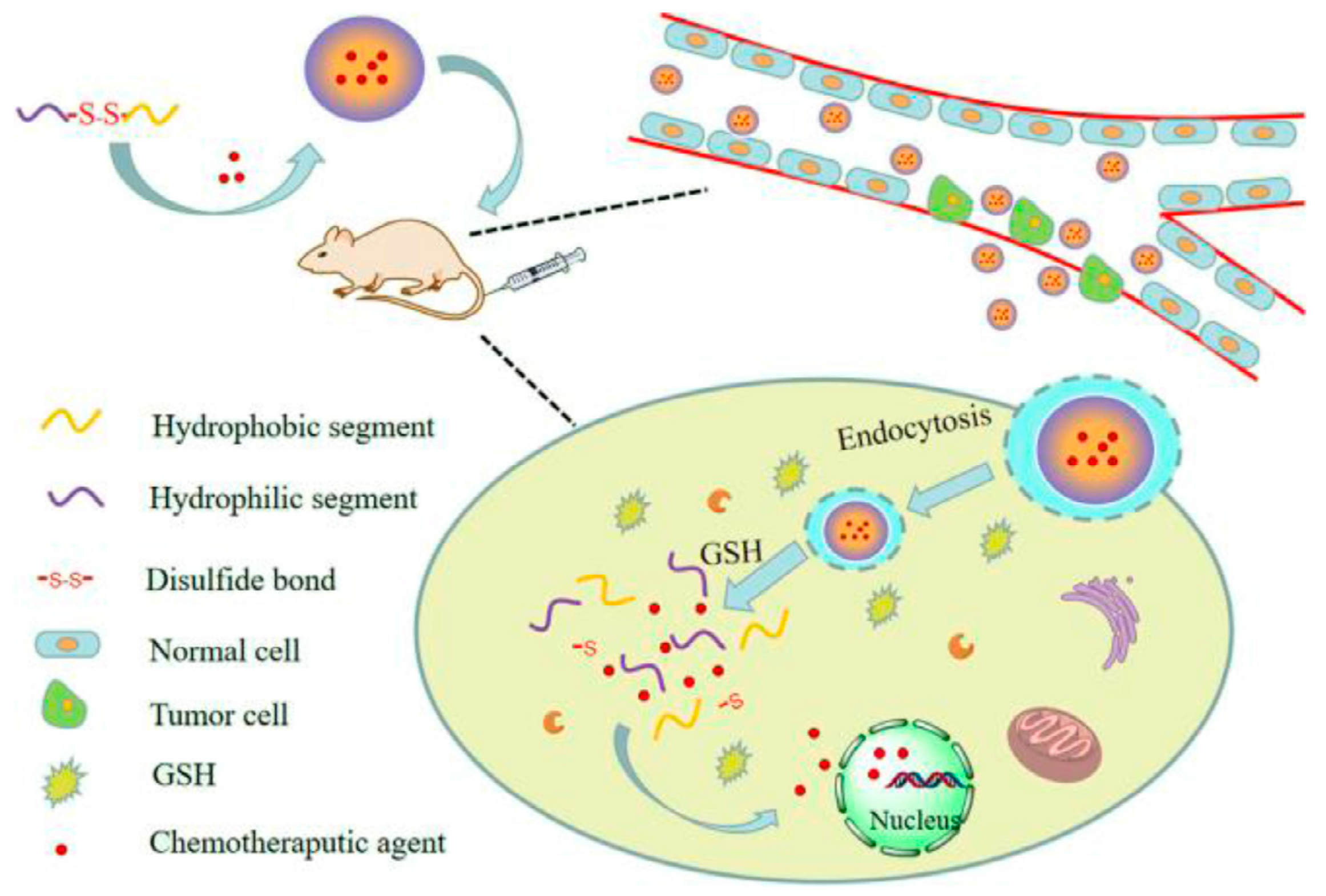 Pharmaceutics 15 00931 g011