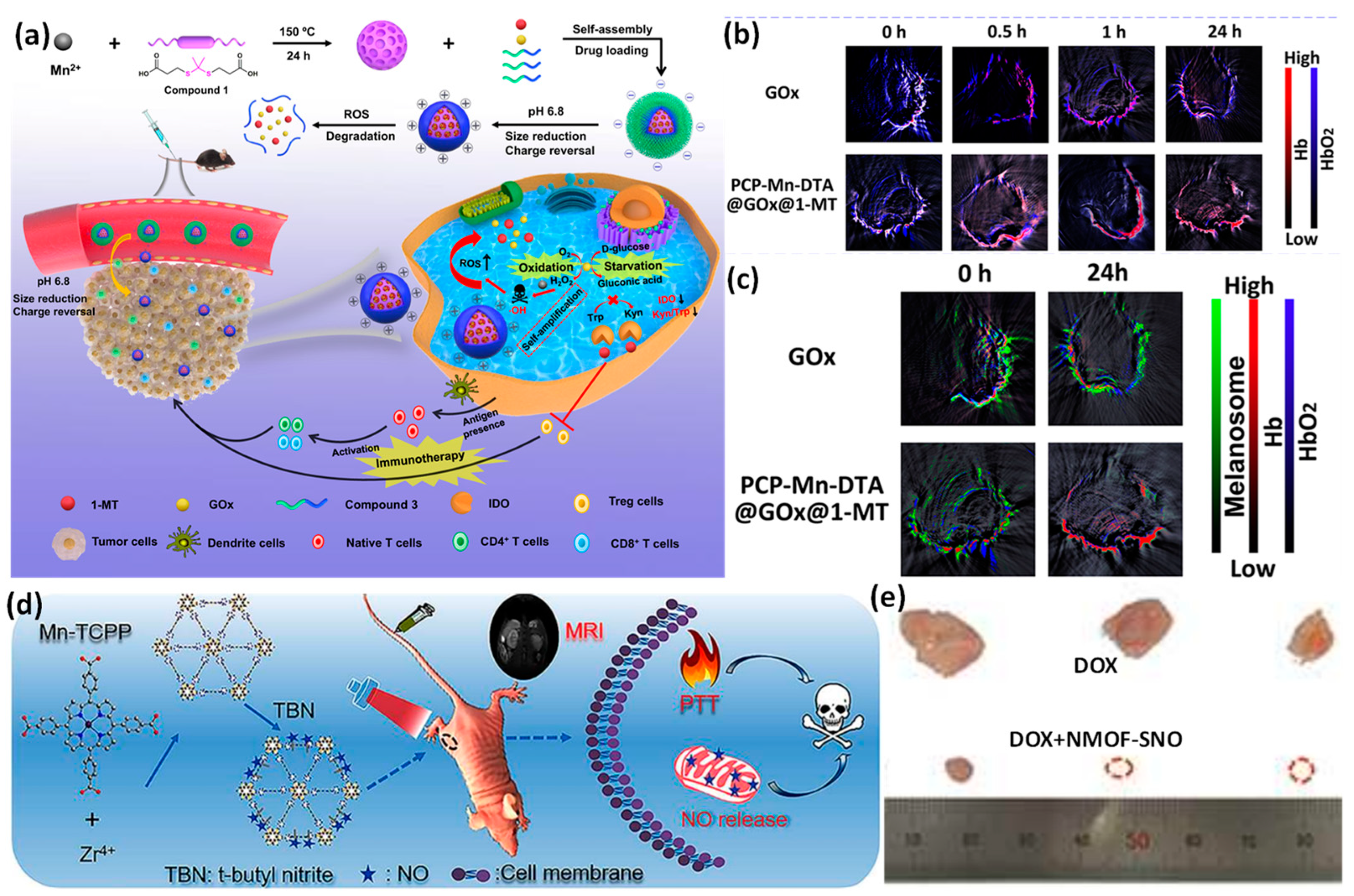 Pharmaceutics 15 00931 g014
