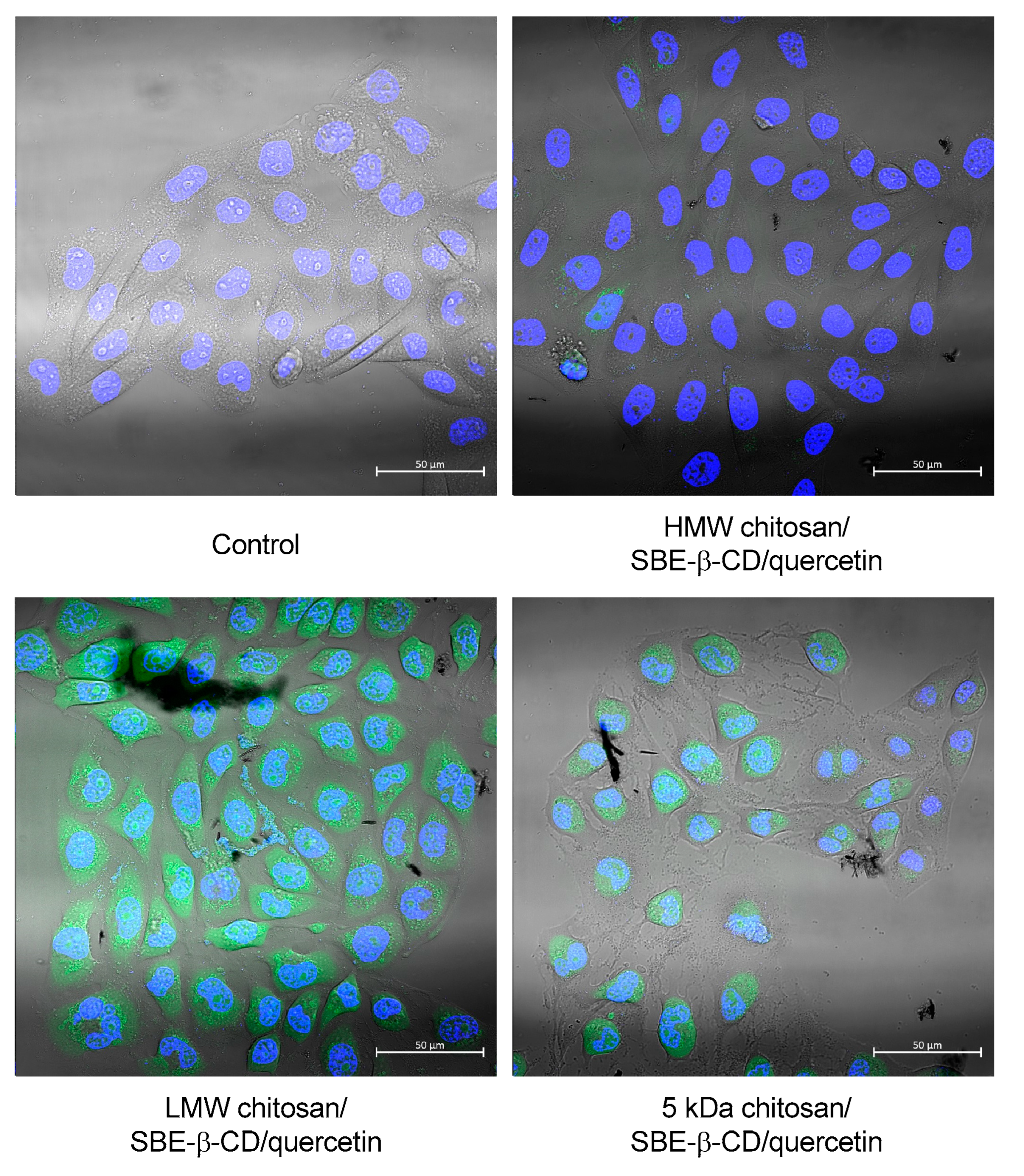 Pharmaceutics 15 00936 g005