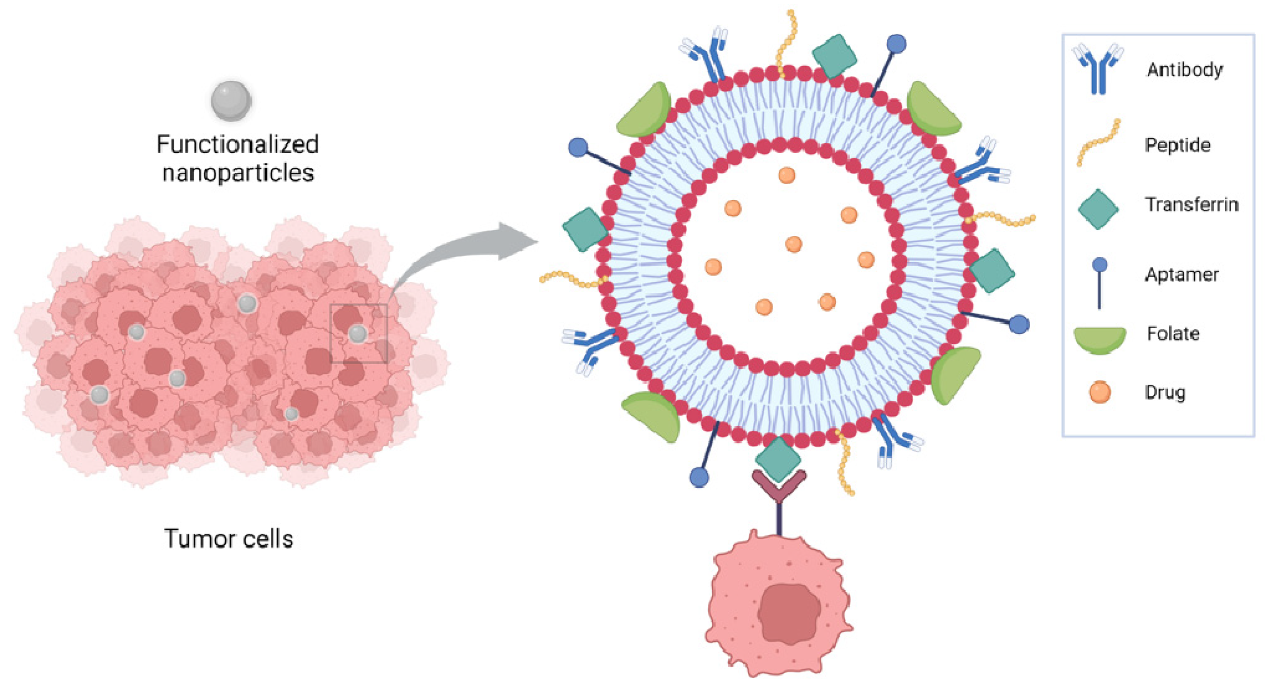 Pharmaceutics 15 00937 g002