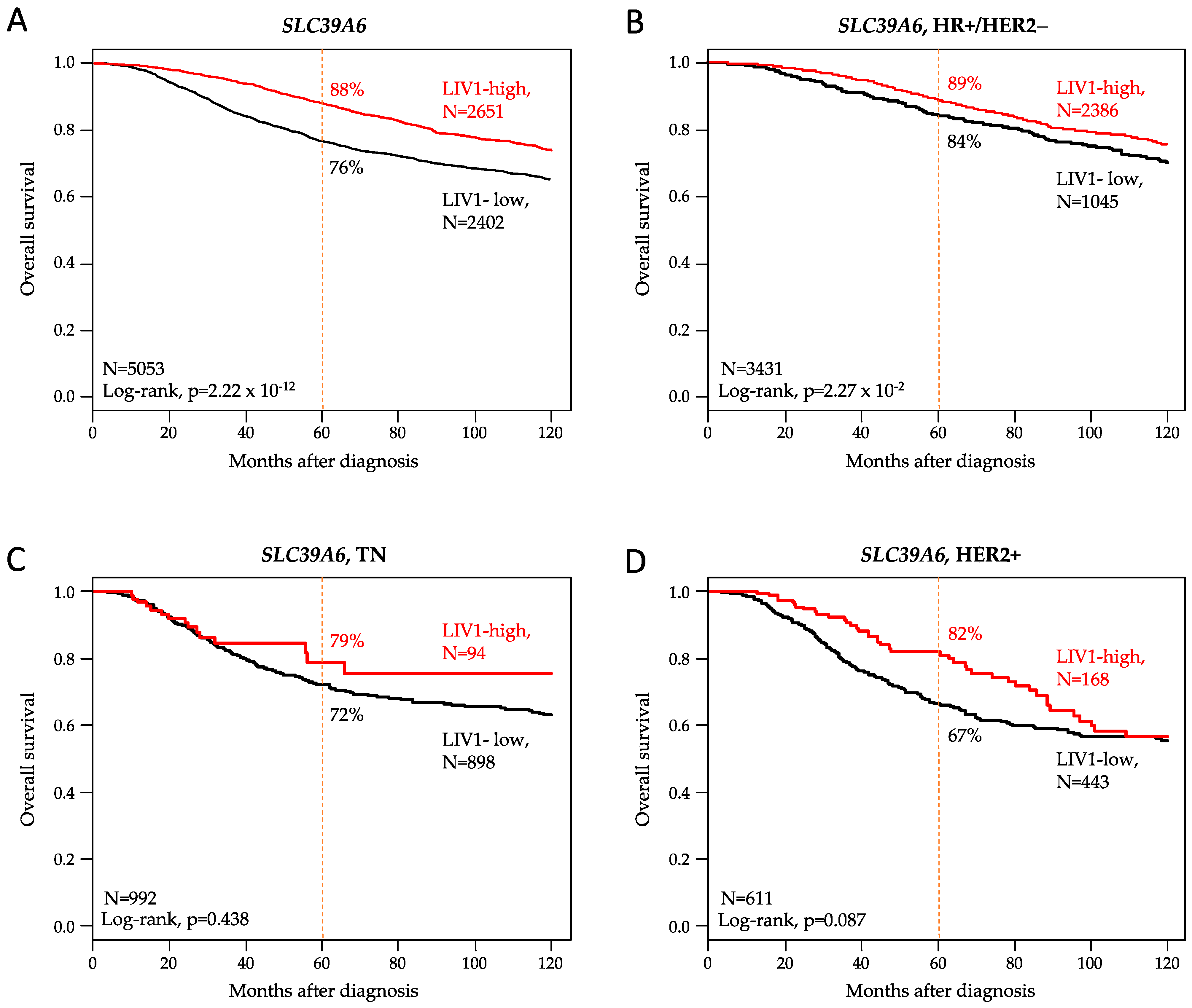 Pharmaceutics 15 00938 g002