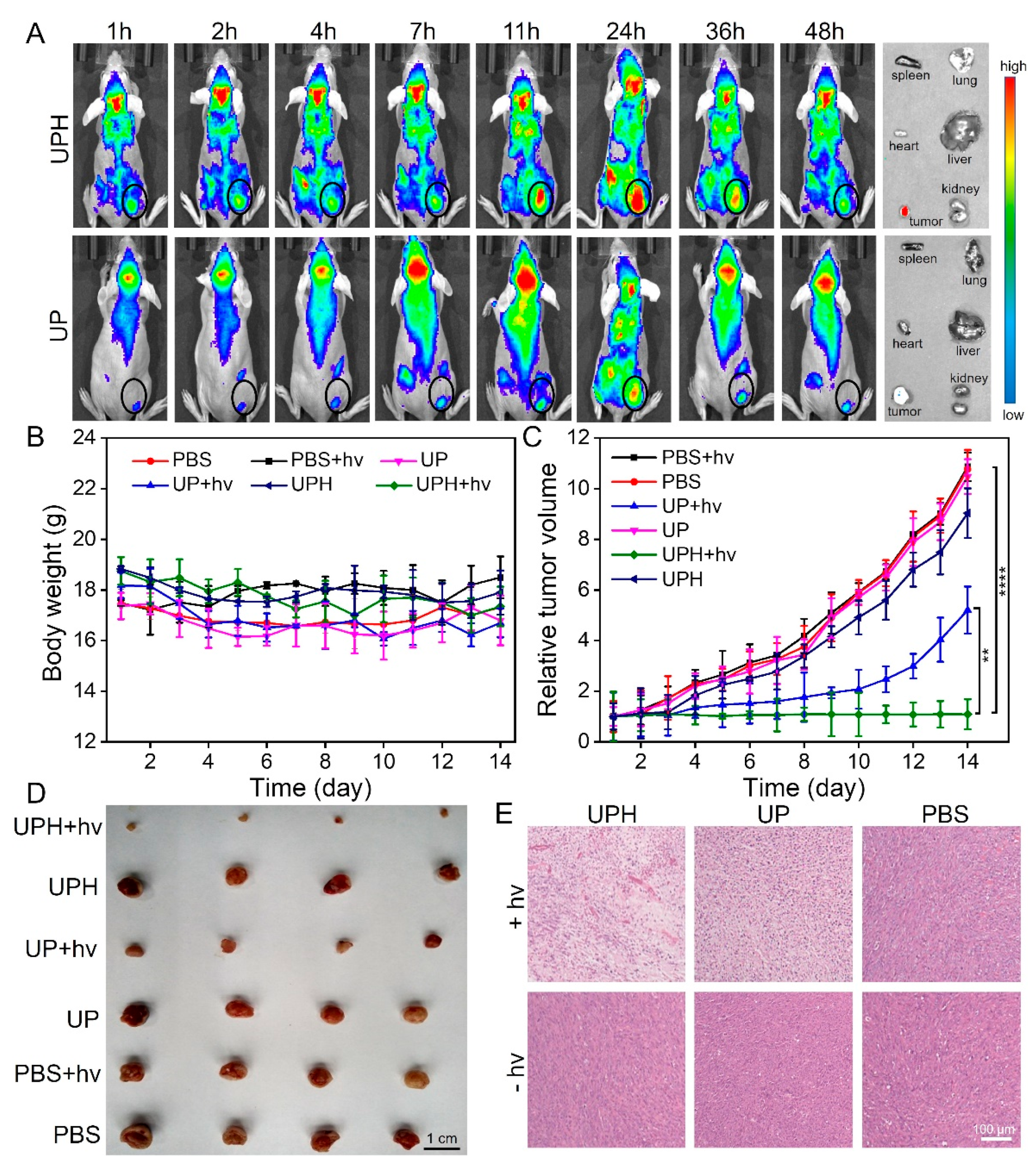 Pharmaceutics 15 00940 g004 550