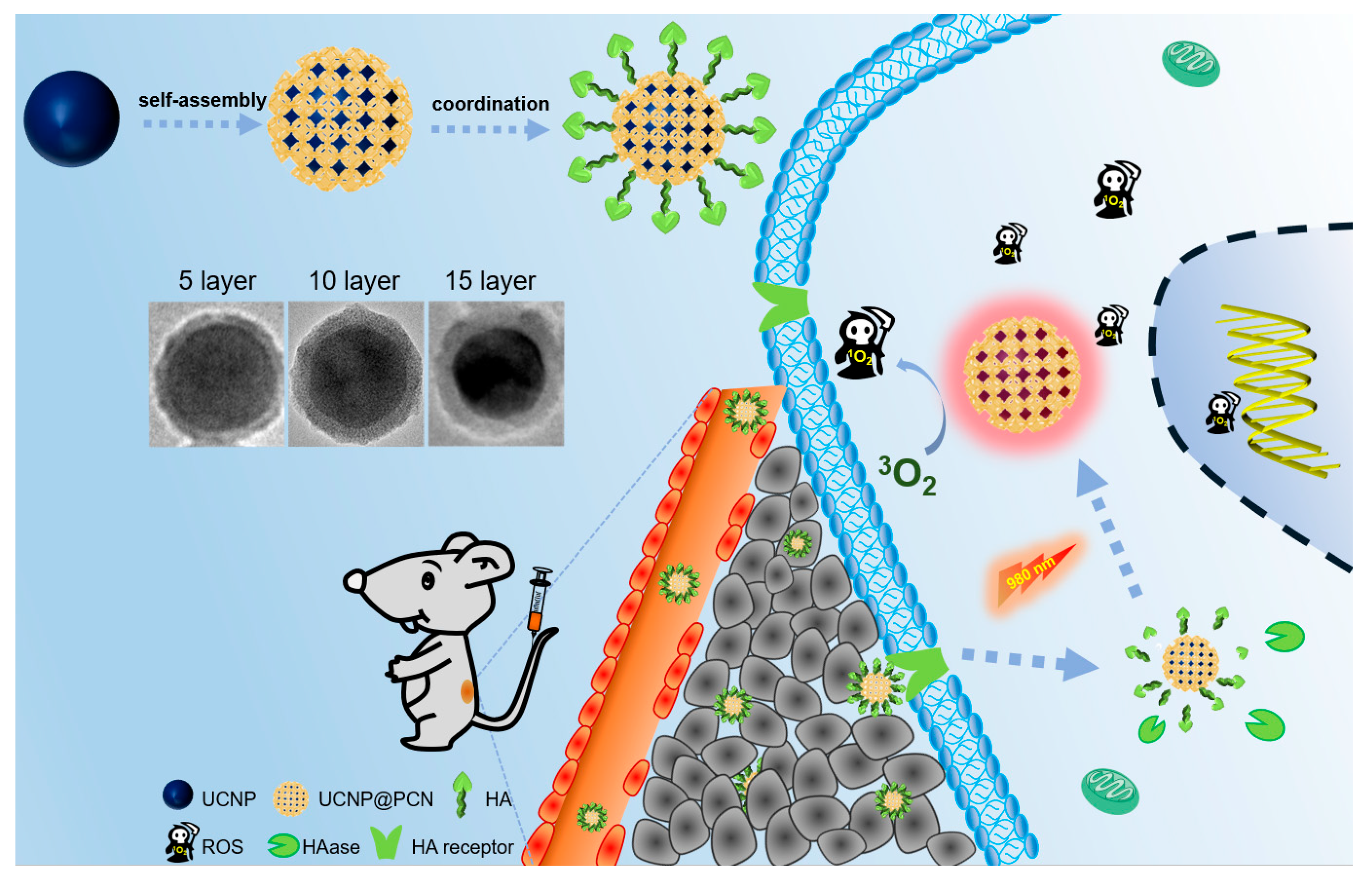 Pharmaceutics 15 00940 sch001 550