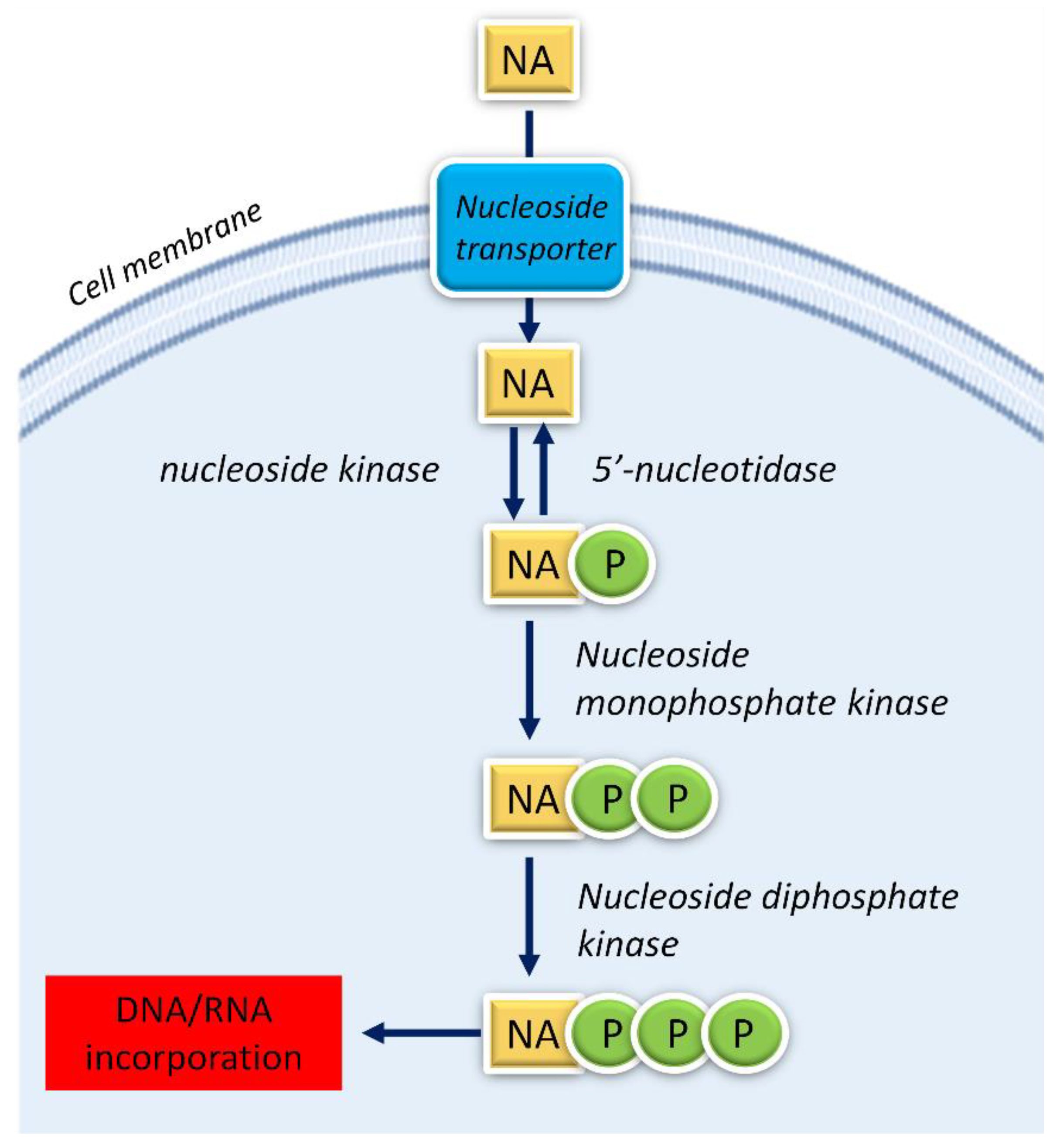 Pharmaceutics 15 00941 g002