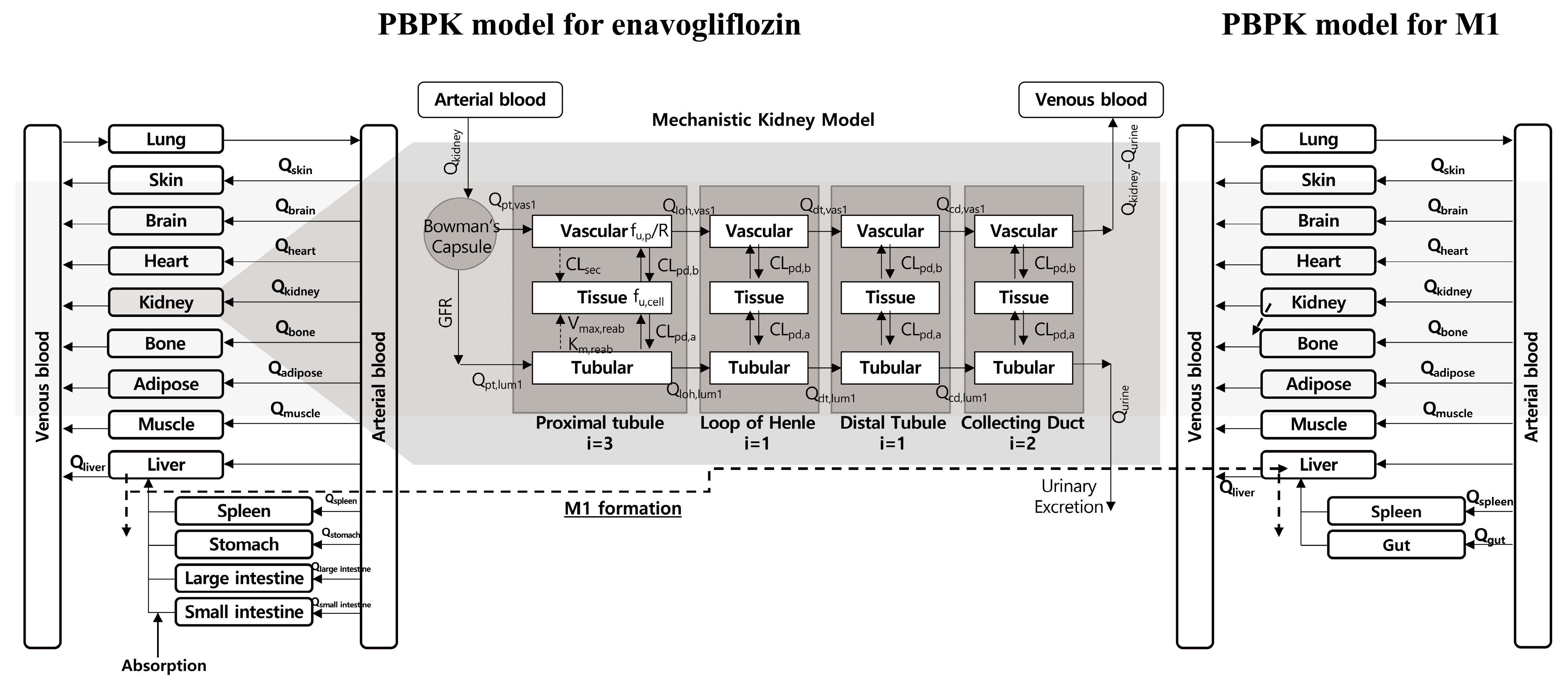 Pharmaceutics 15 00942 g001 Pharmaceutics 15 00942 g001