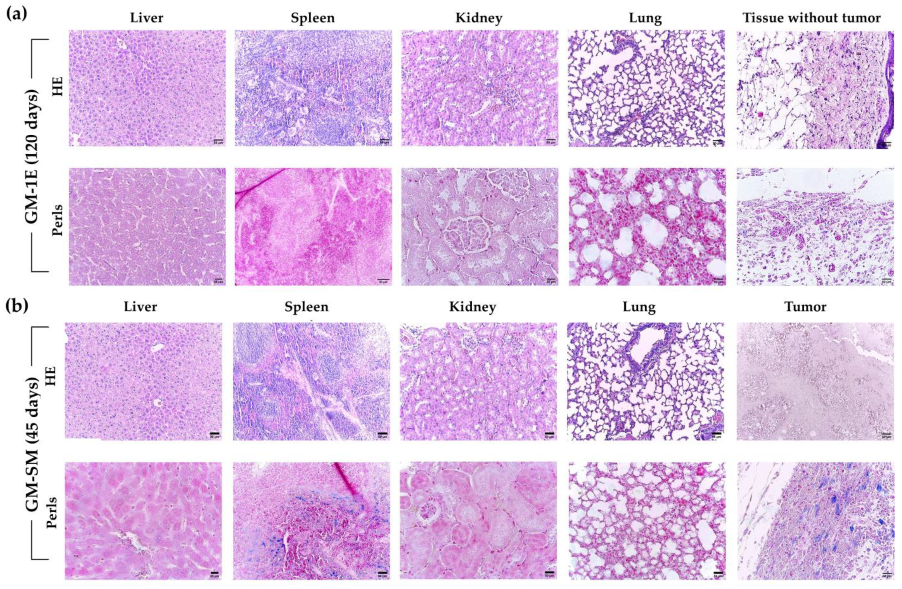 Pharmaceutics 15 00943 g004