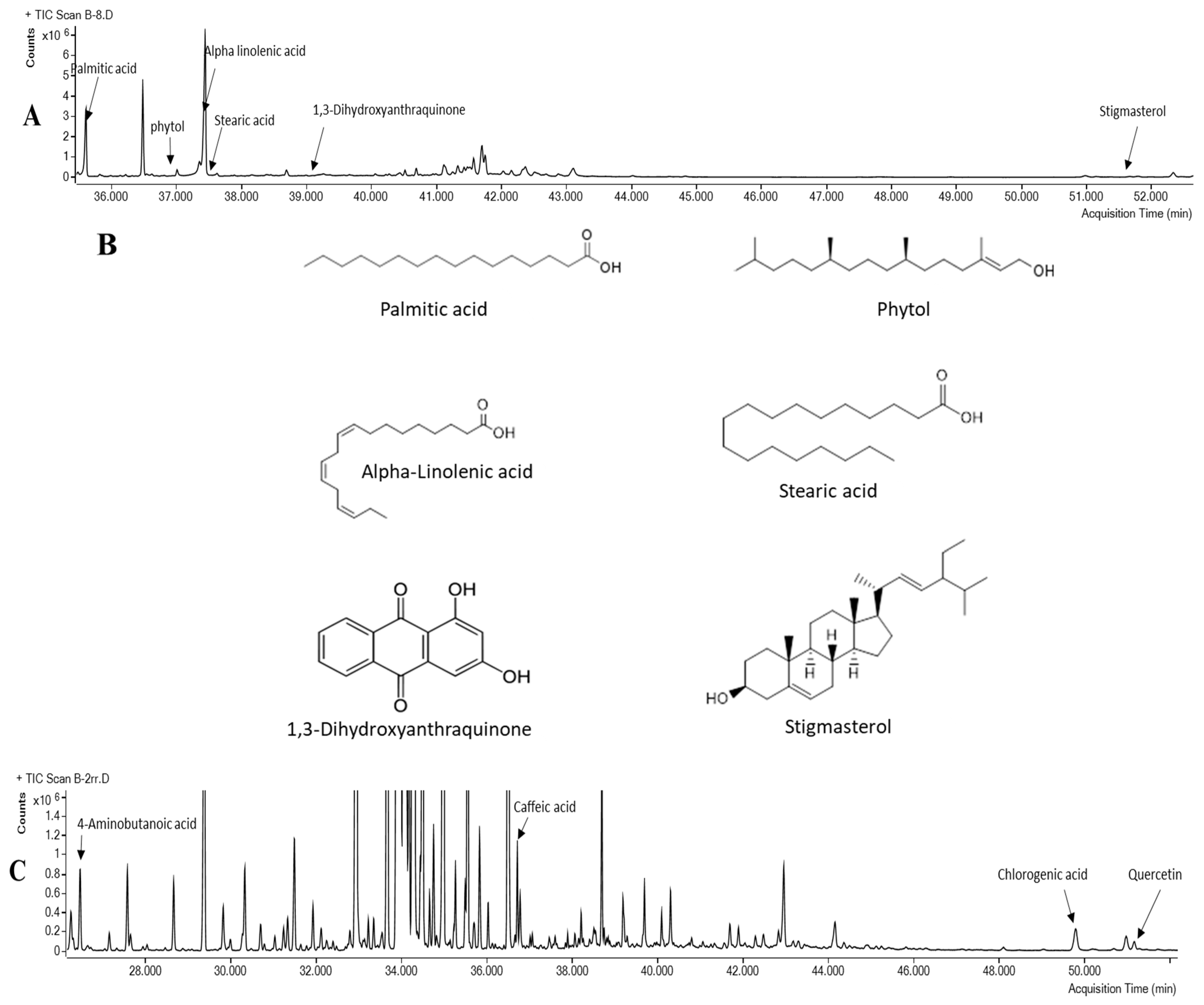 Pharmaceutics 15 00945 g005a Pharmaceutics 15 00945 g005a