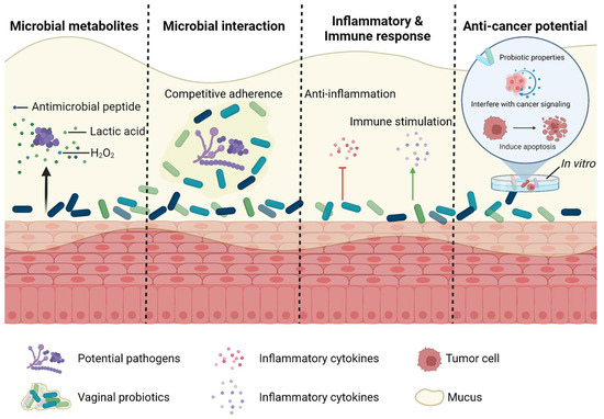 Potential Role of Vaginal Microbiota in Ovarian Cancer