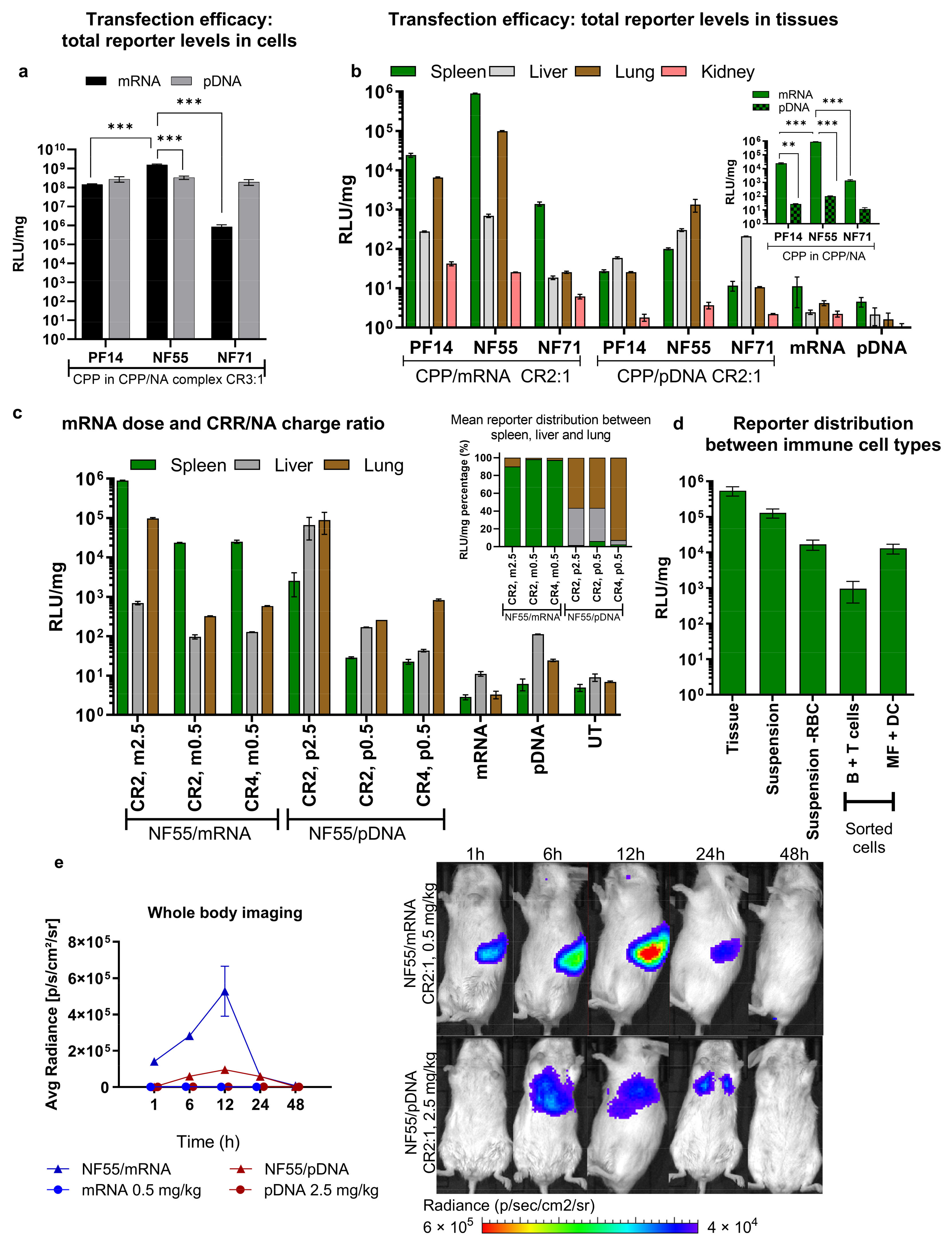 Pharmaceutics 15 00952 g001 Pharmaceutics 15 00952 g001