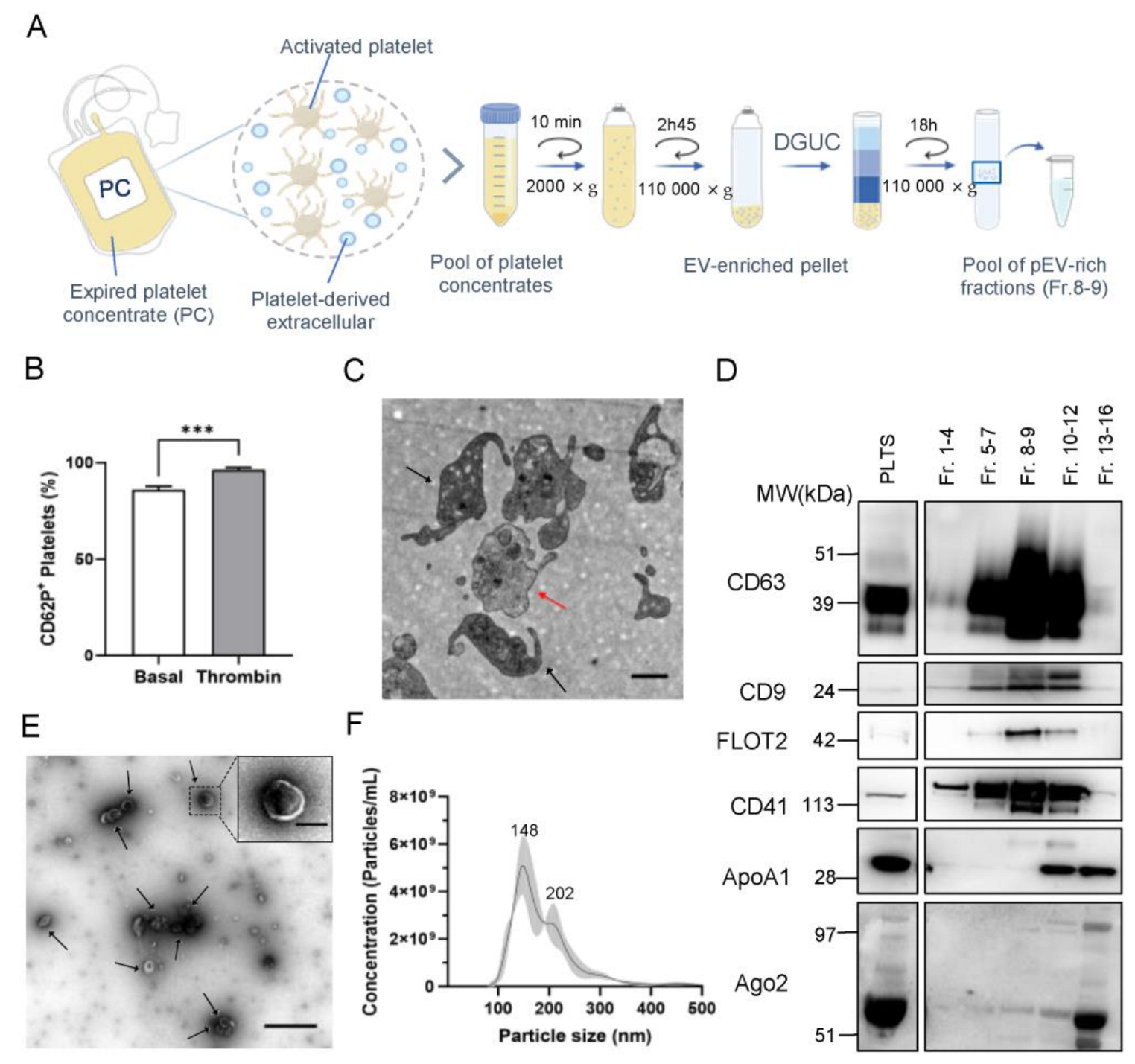 Pharmaceutics 15 00953 g001