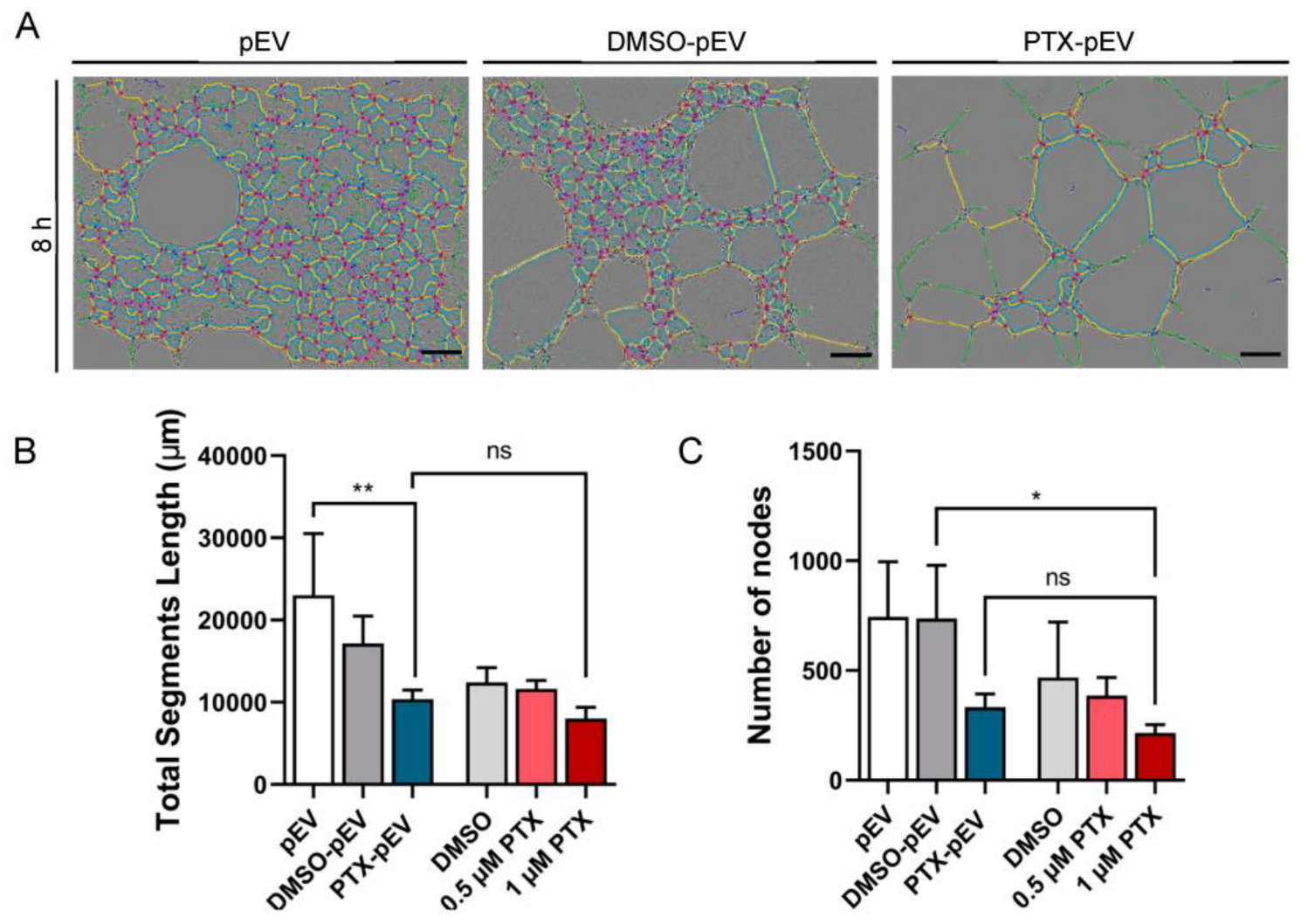 Pharmaceutics 15 00953 g004