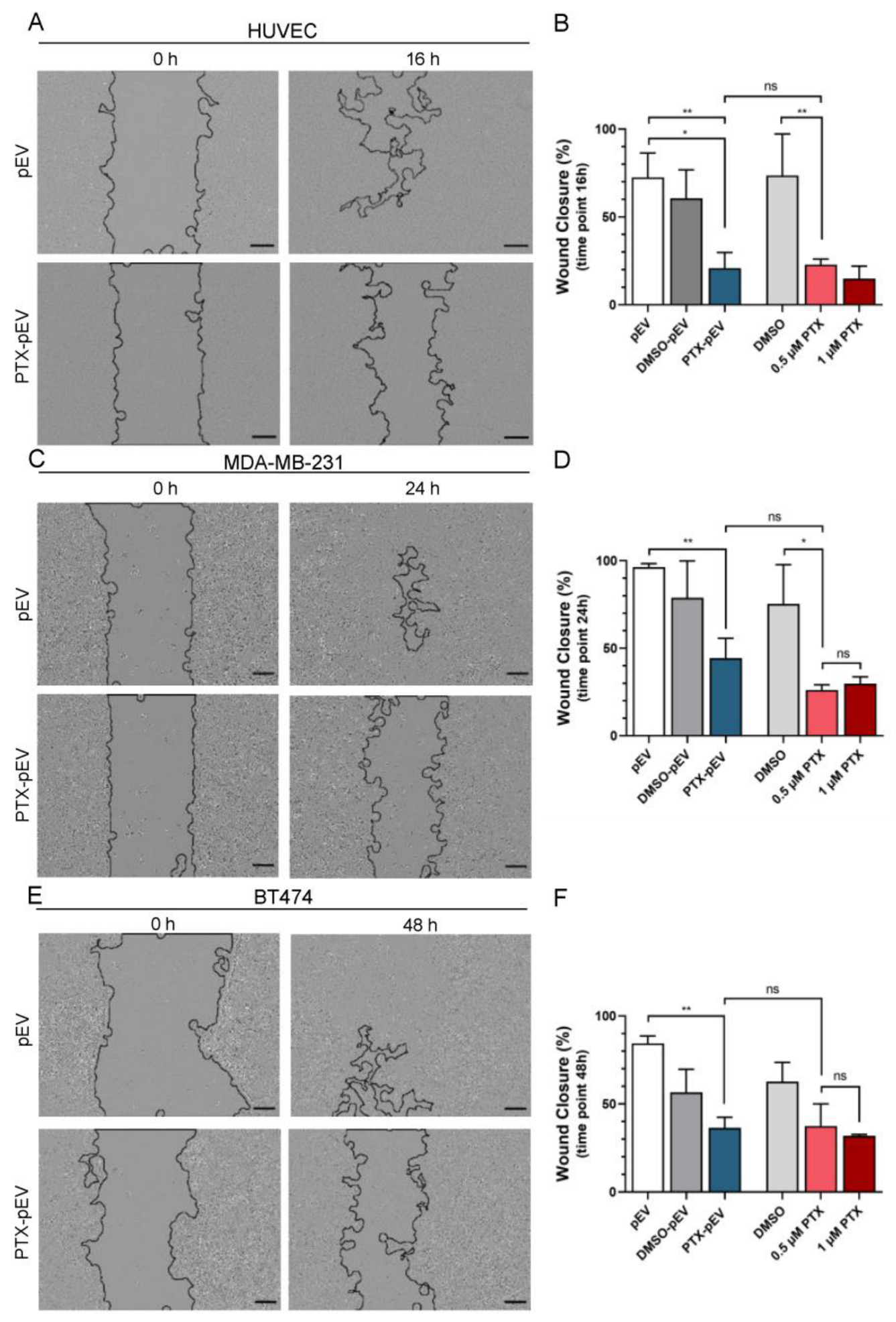 Pharmaceutics 15 00953 g005