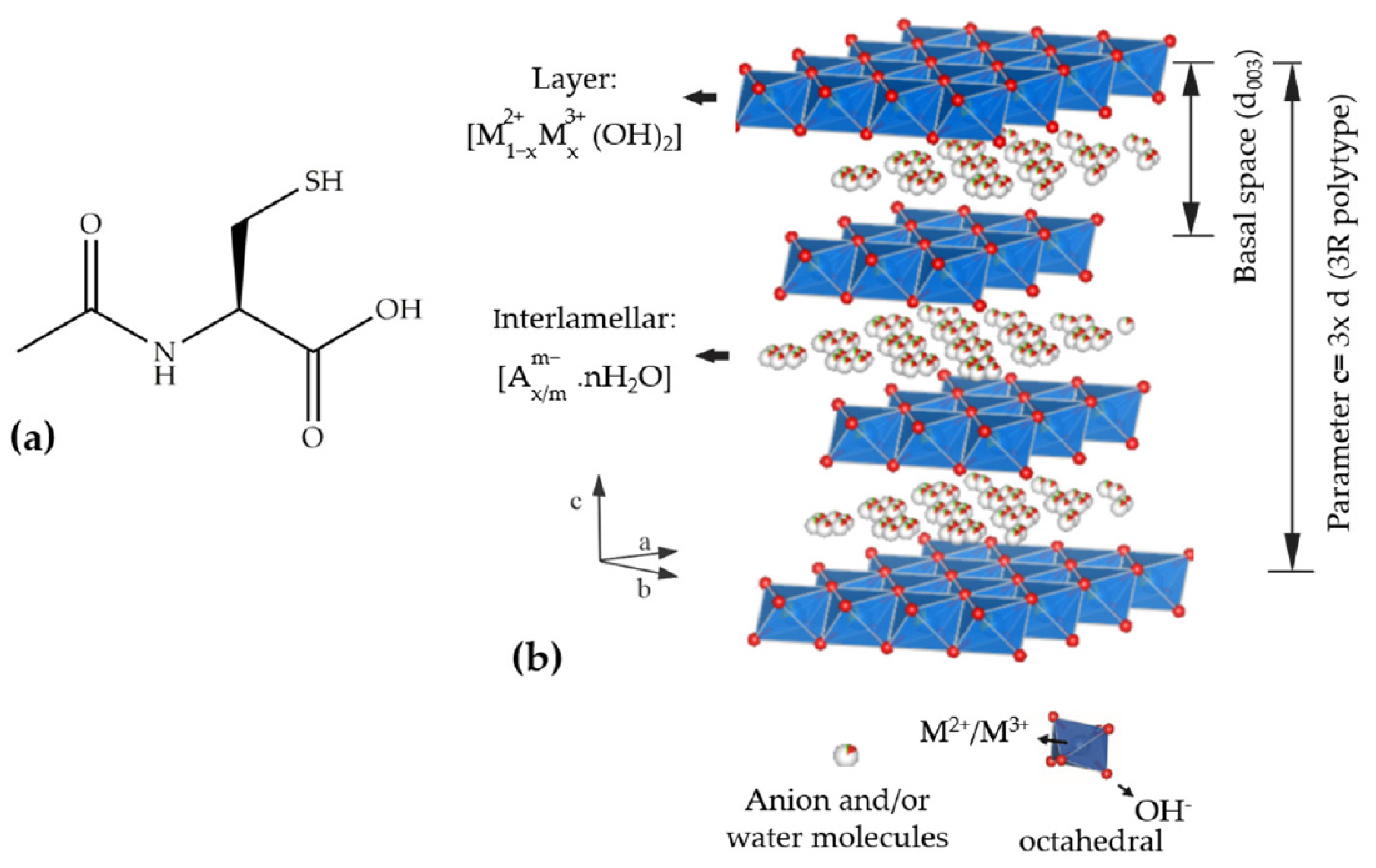Pharmaceutics 15 00955 g001