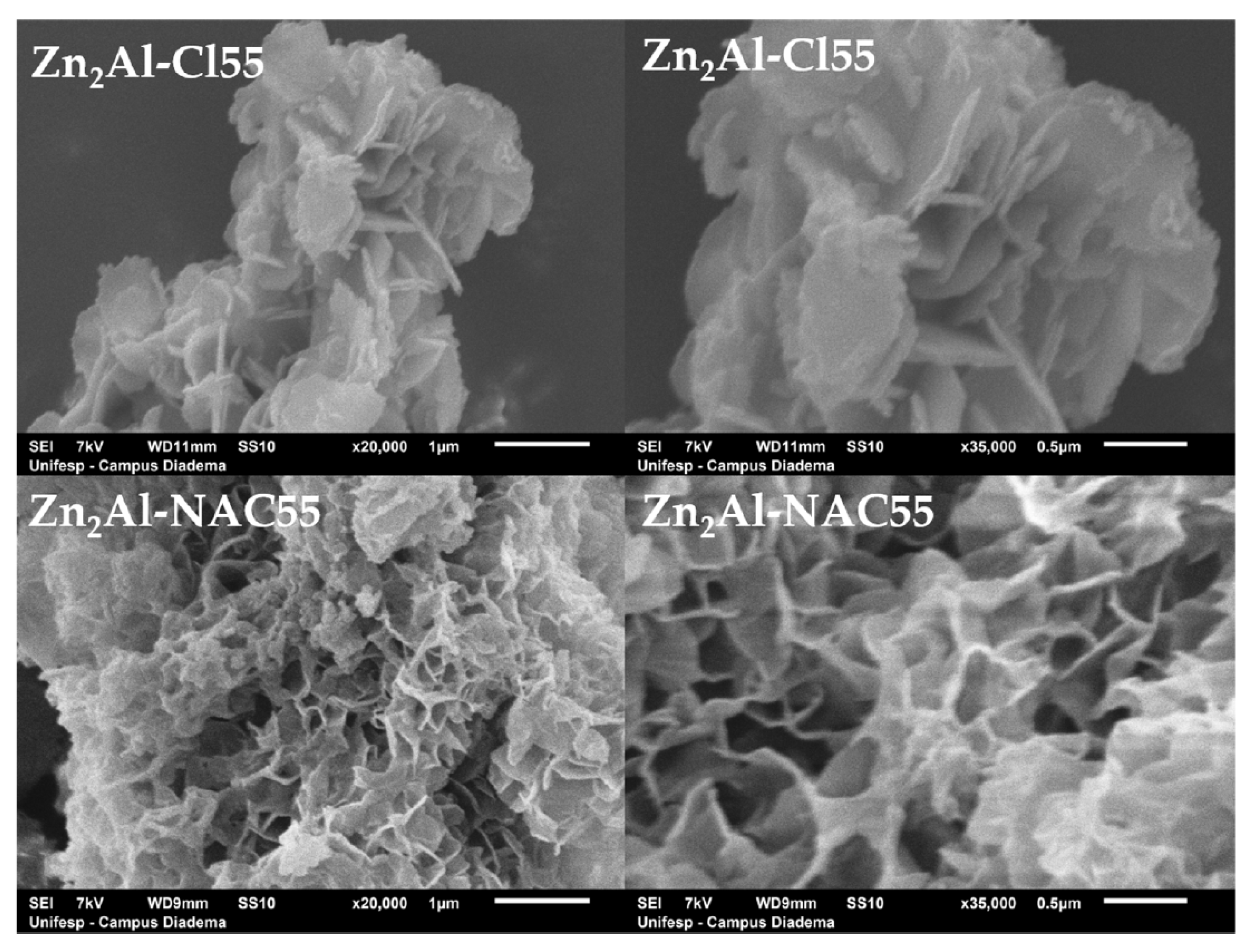 Pharmaceutics 15 00955 g006
