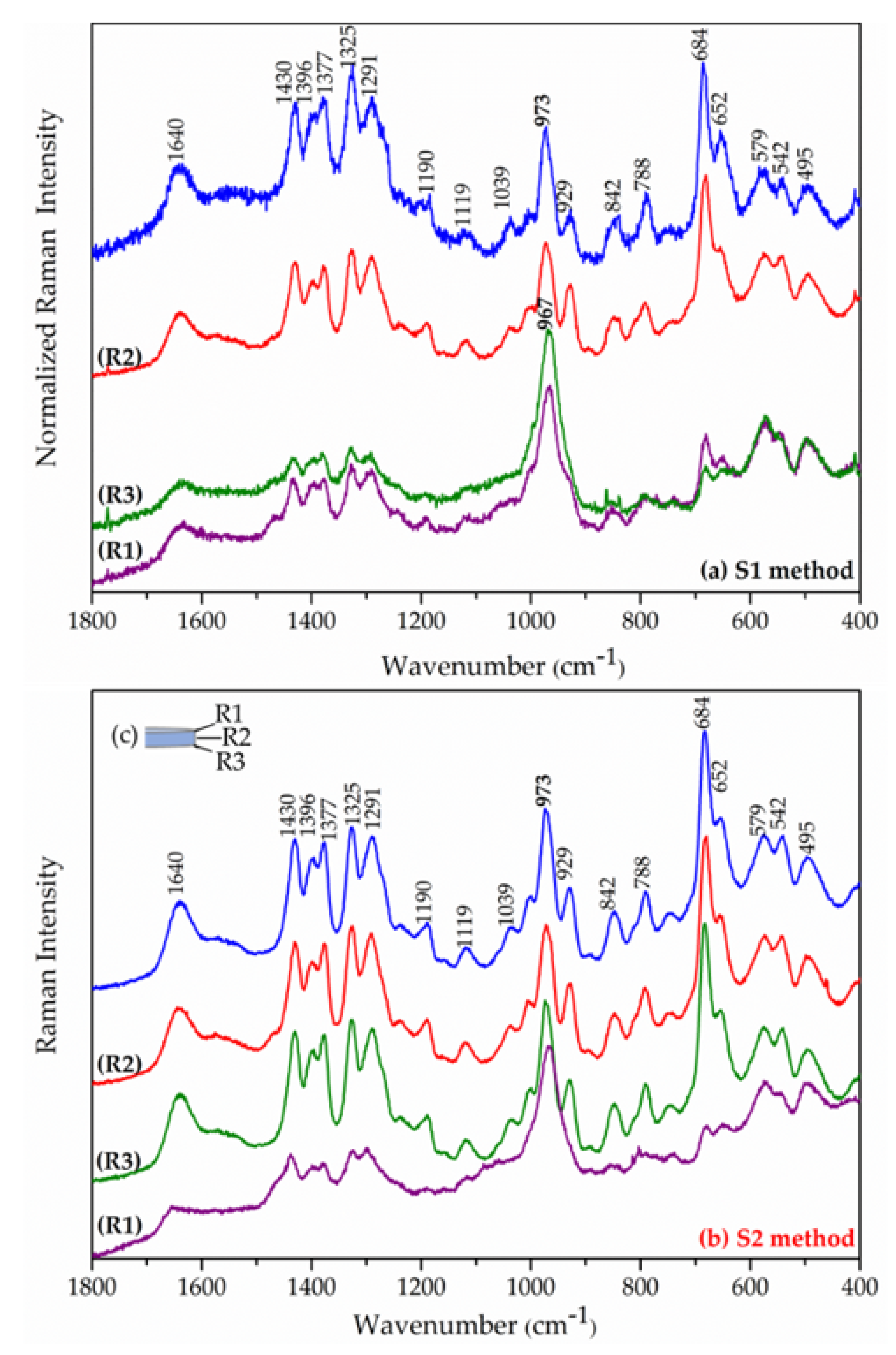 Pharmaceutics 15 00955 g012