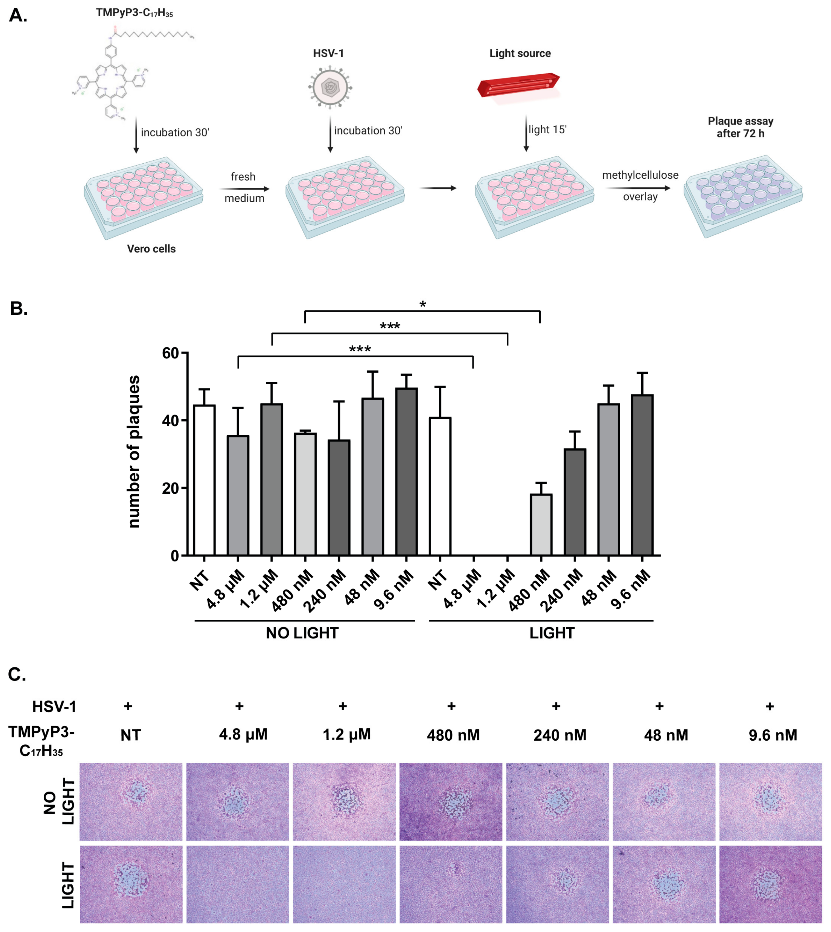 Pharmaceutics 15 00956 g004