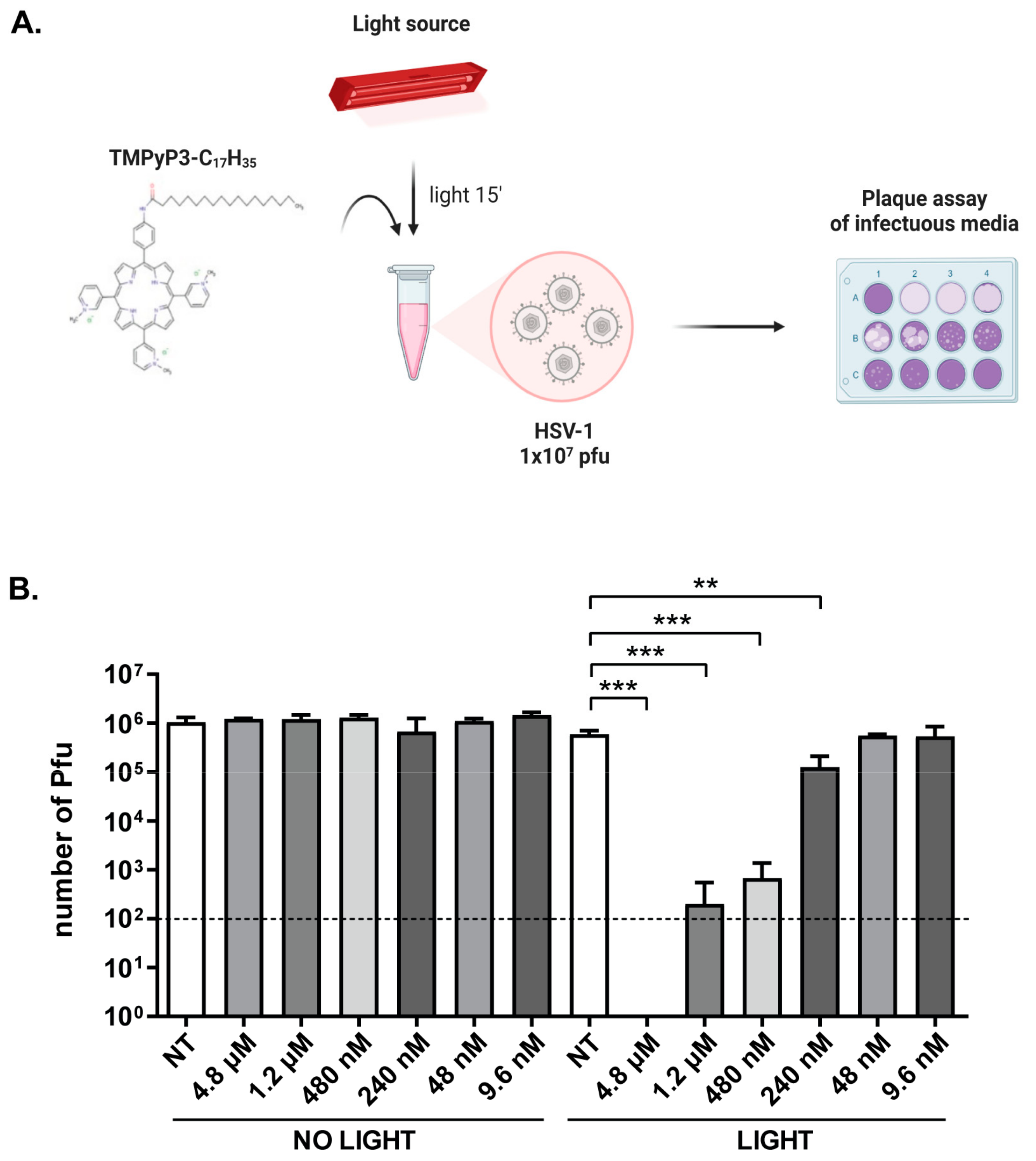 Pharmaceutics 15 00956 g008