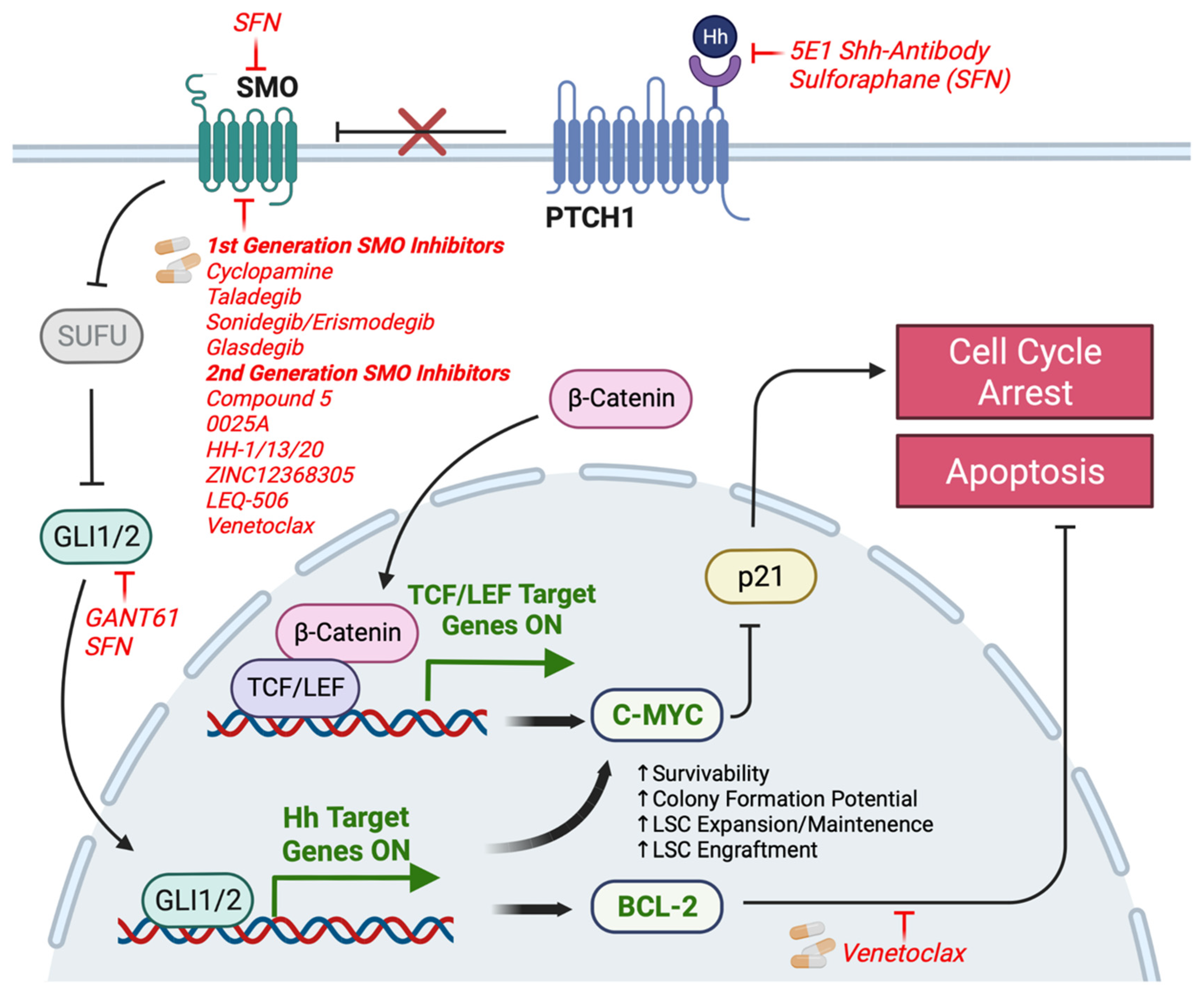 Pharmaceutics 15 00958 g002 Pharmaceutics 15 00958 g002