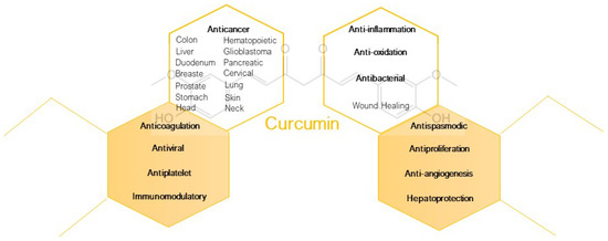 A New Productive Approach and Formulative Optimization for Curcumin ...