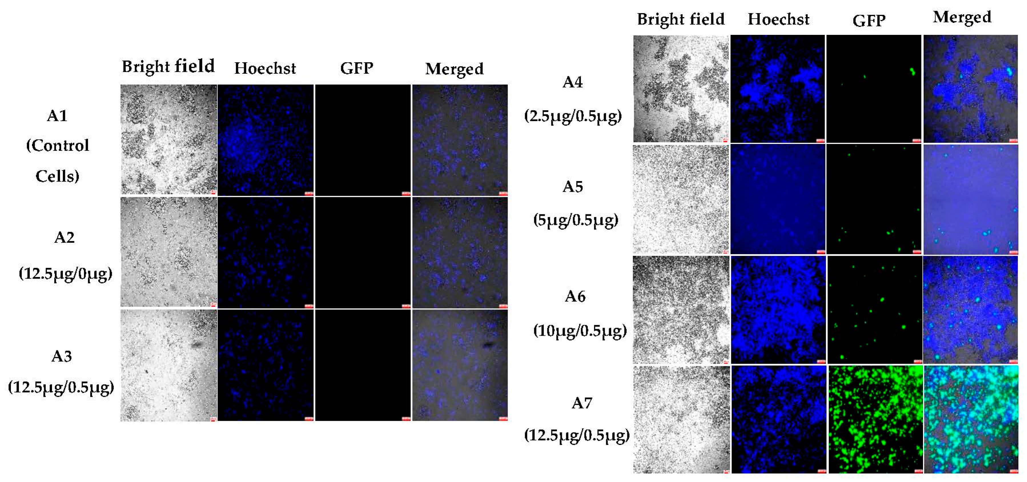 Pharmaceutics 15 00961 g002 Pharmaceutics 15 00961 g002