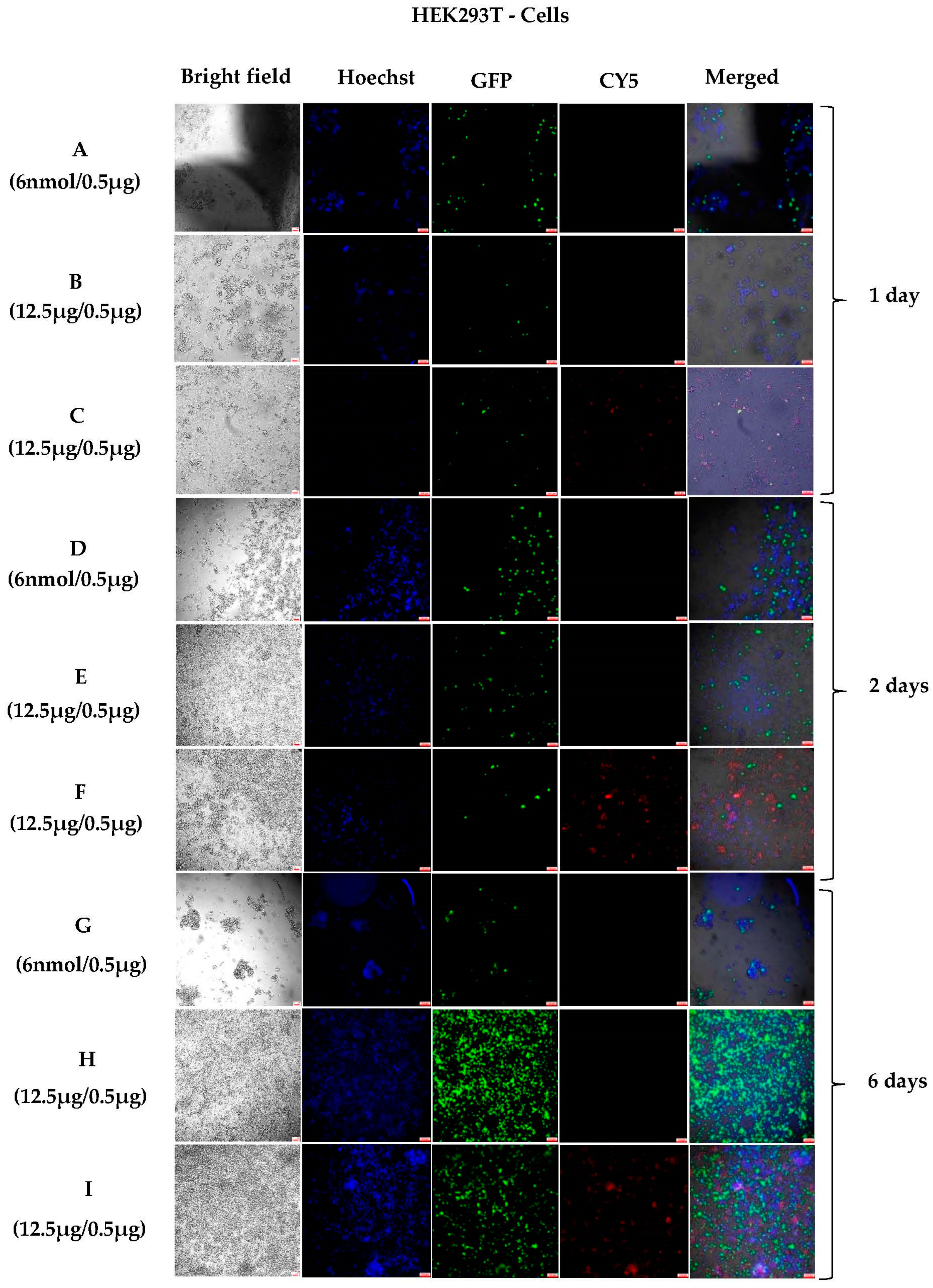 Pharmaceutics 15 00961 g003 Pharmaceutics 15 00961 g003