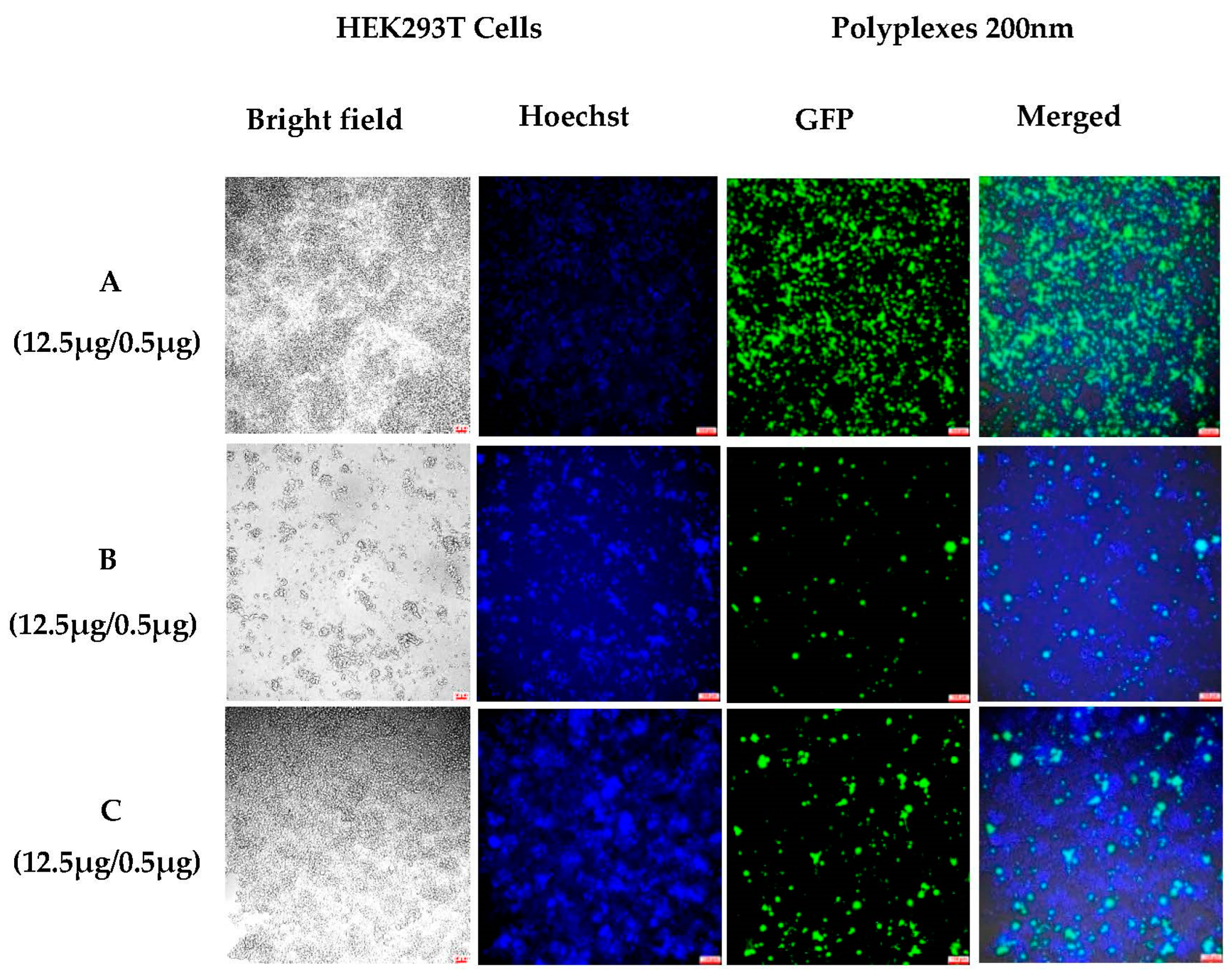 Pharmaceutics 15 00961 g006 Pharmaceutics 15 00961 g006