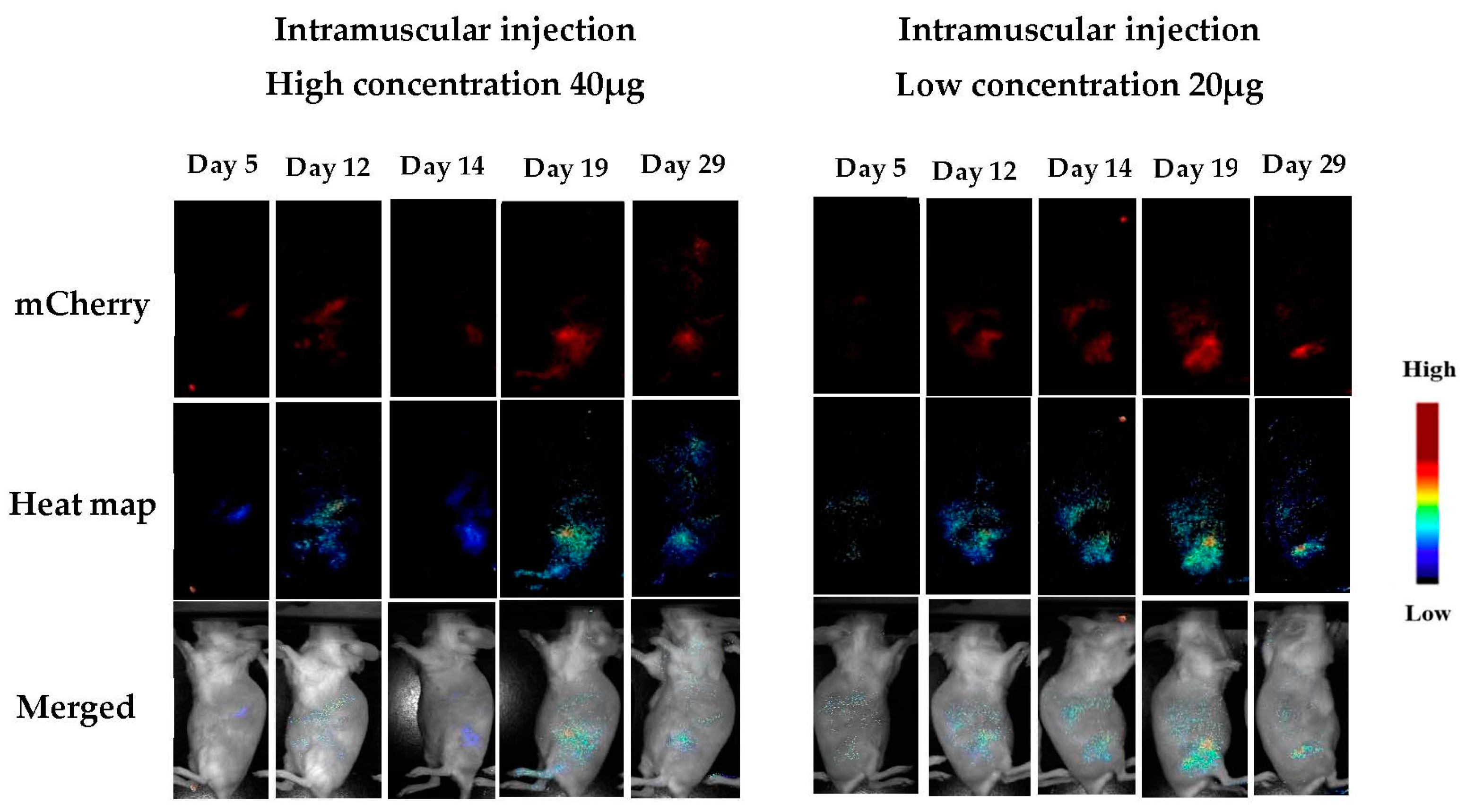 Pharmaceutics 15 00961 g008 Pharmaceutics 15 00961 g008