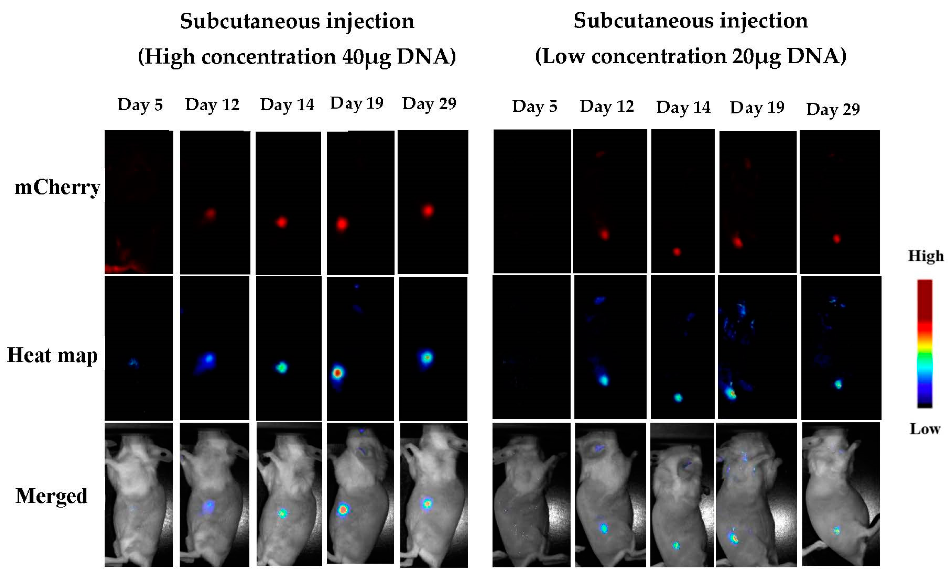 Pharmaceutics 15 00961 g009 Pharmaceutics 15 00961 g009