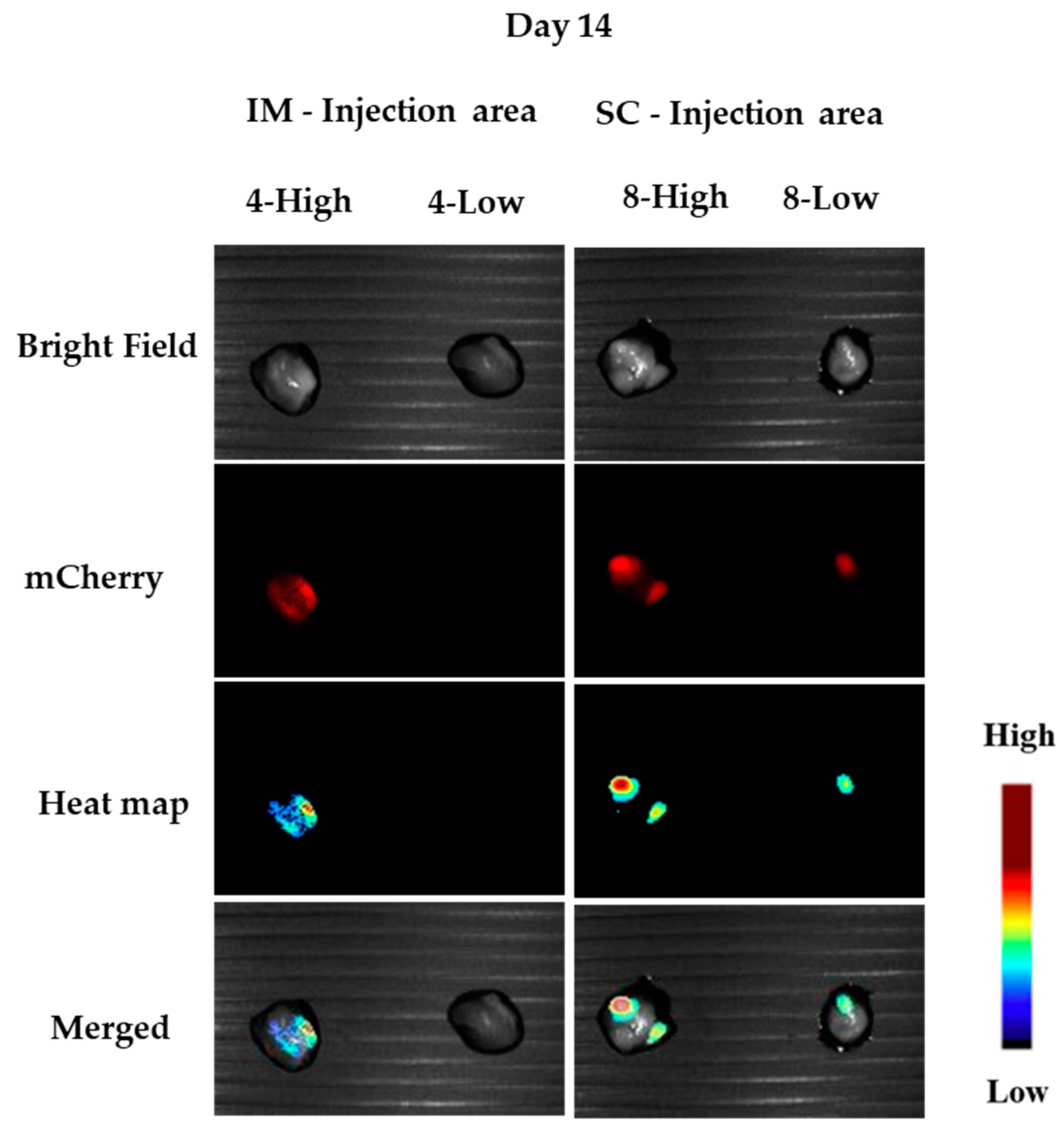 Pharmaceutics 15 00961 g011 Pharmaceutics 15 00961 g011