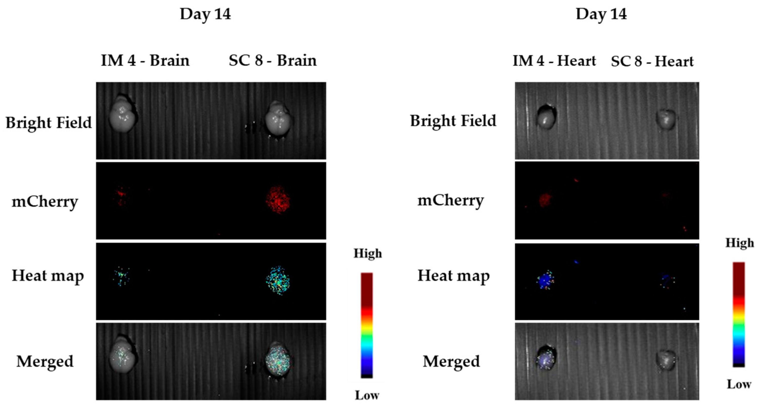 Pharmaceutics 15 00961 g012 Pharmaceutics 15 00961 g012