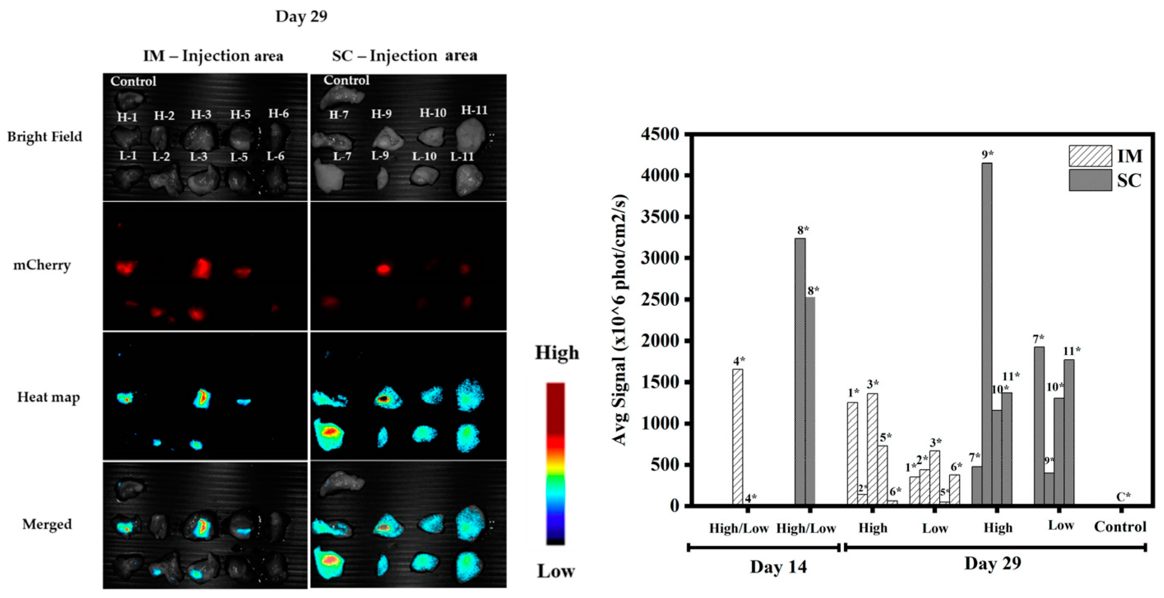 Pharmaceutics 15 00961 g013 Pharmaceutics 15 00961 g013