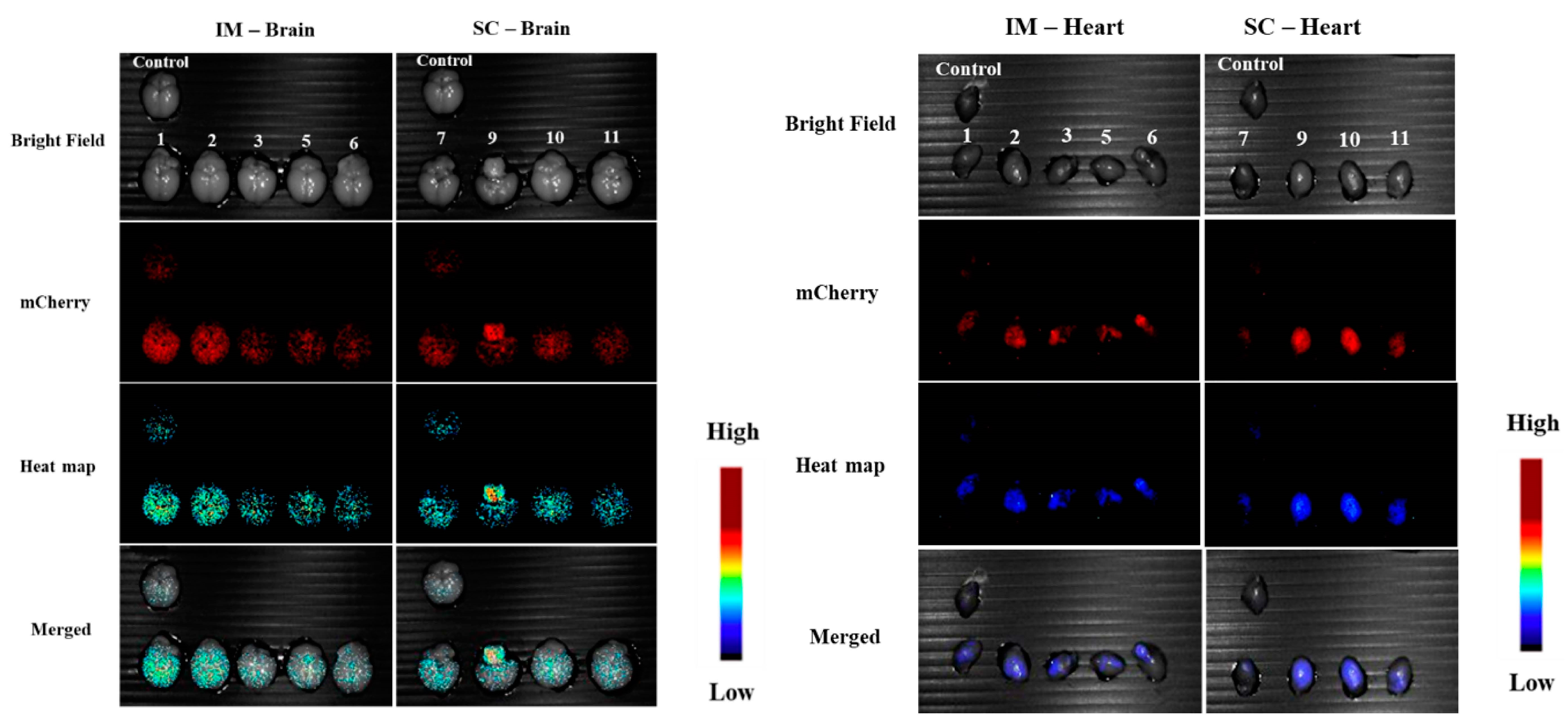 Pharmaceutics 15 00961 g014 Pharmaceutics 15 00961 g014