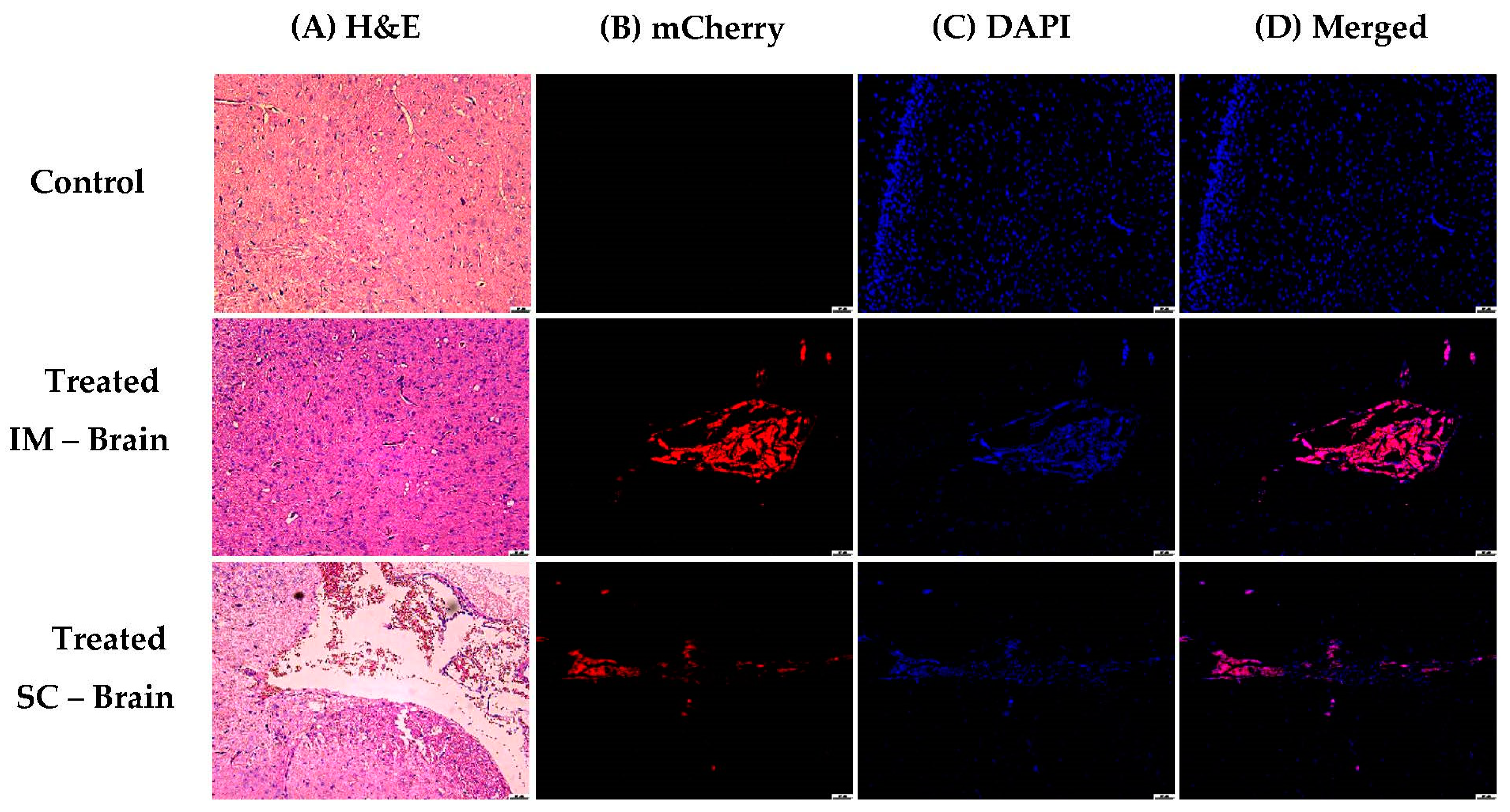 Pharmaceutics 15 00961 g018 Pharmaceutics 15 00961 g018