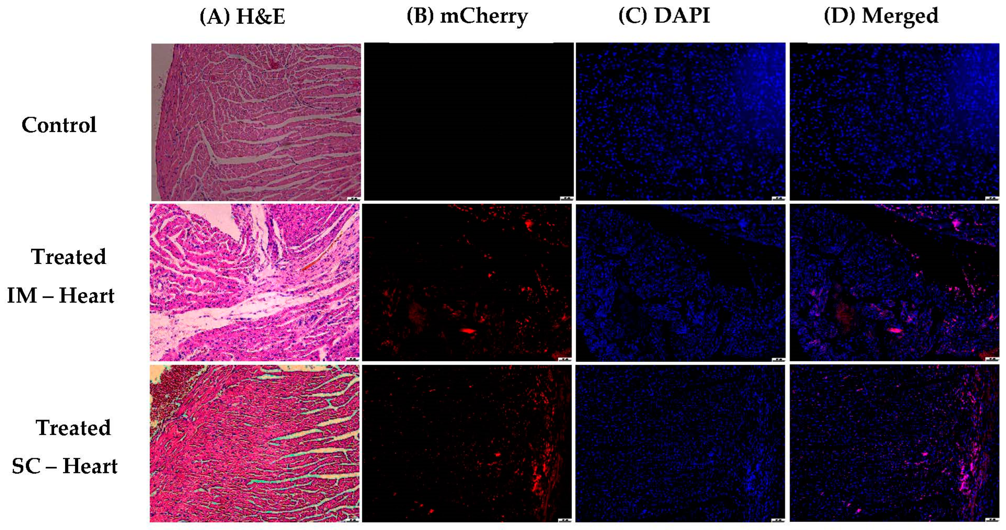 Pharmaceutics 15 00961 g019 Pharmaceutics 15 00961 g019