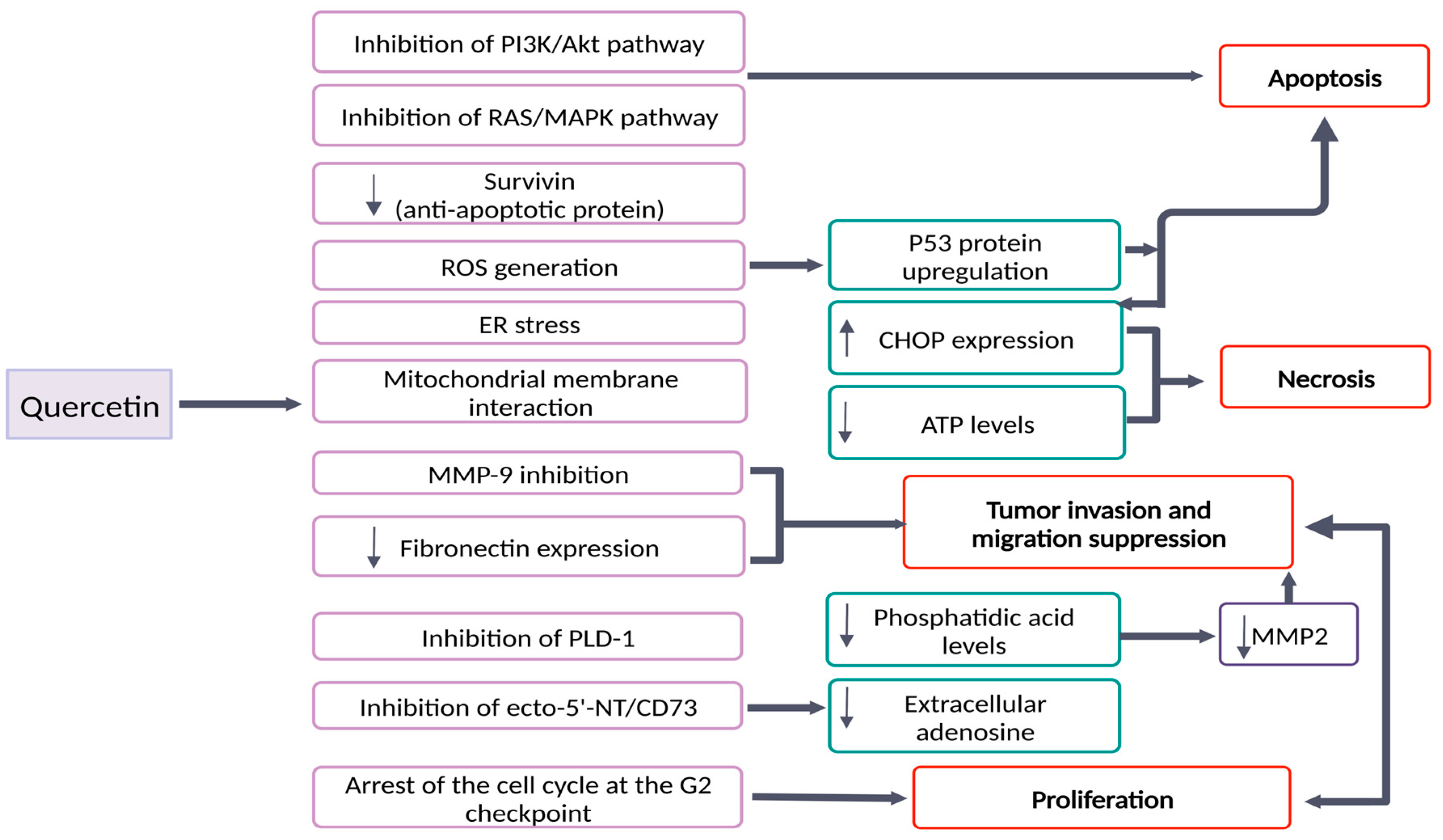 Pharmaceutics 15 00963 g002 Pharmaceutics 15 00963 g002