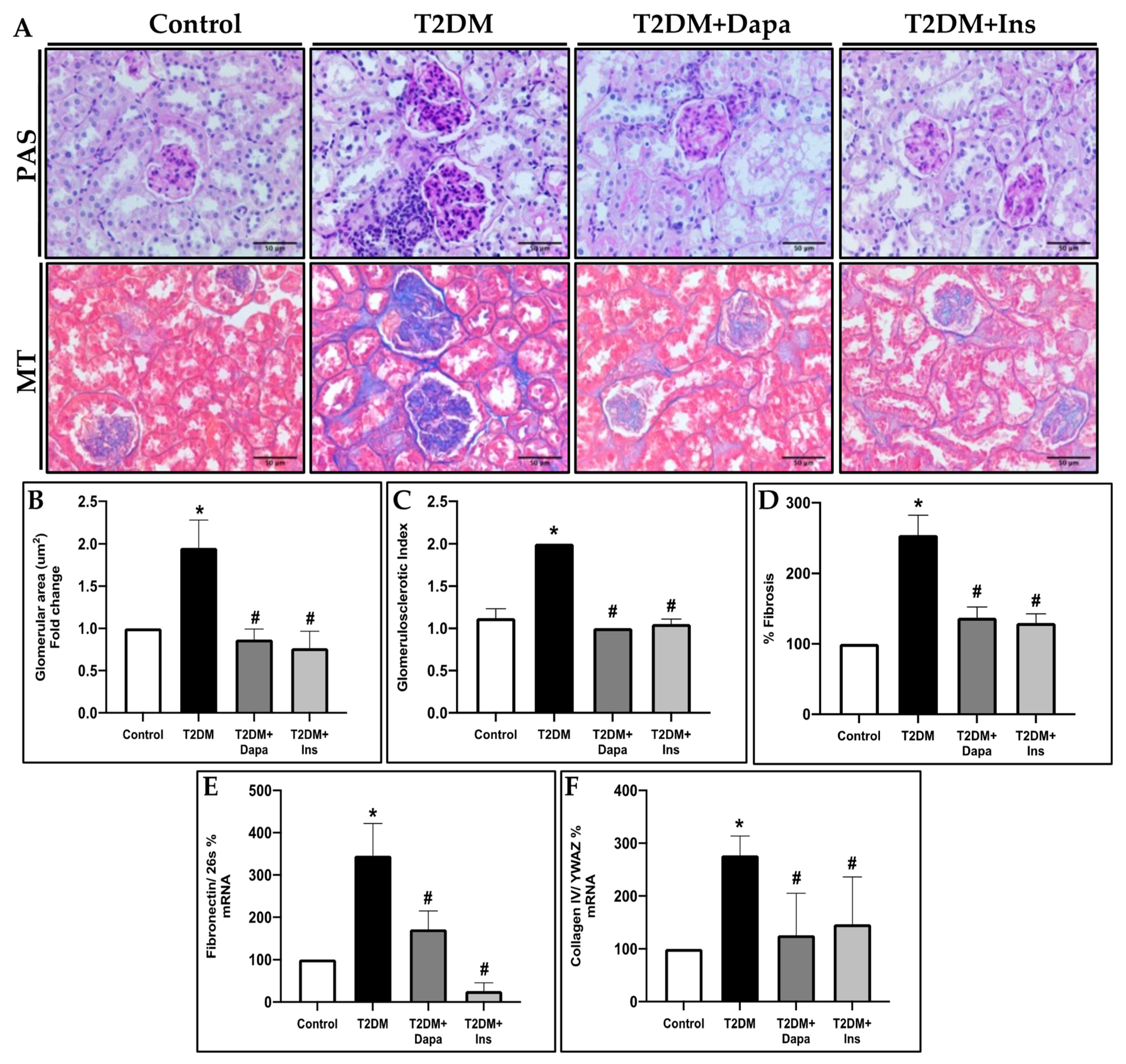 Pharmaceutics 15 00965 g001 Pharmaceutics 15 00965 g001