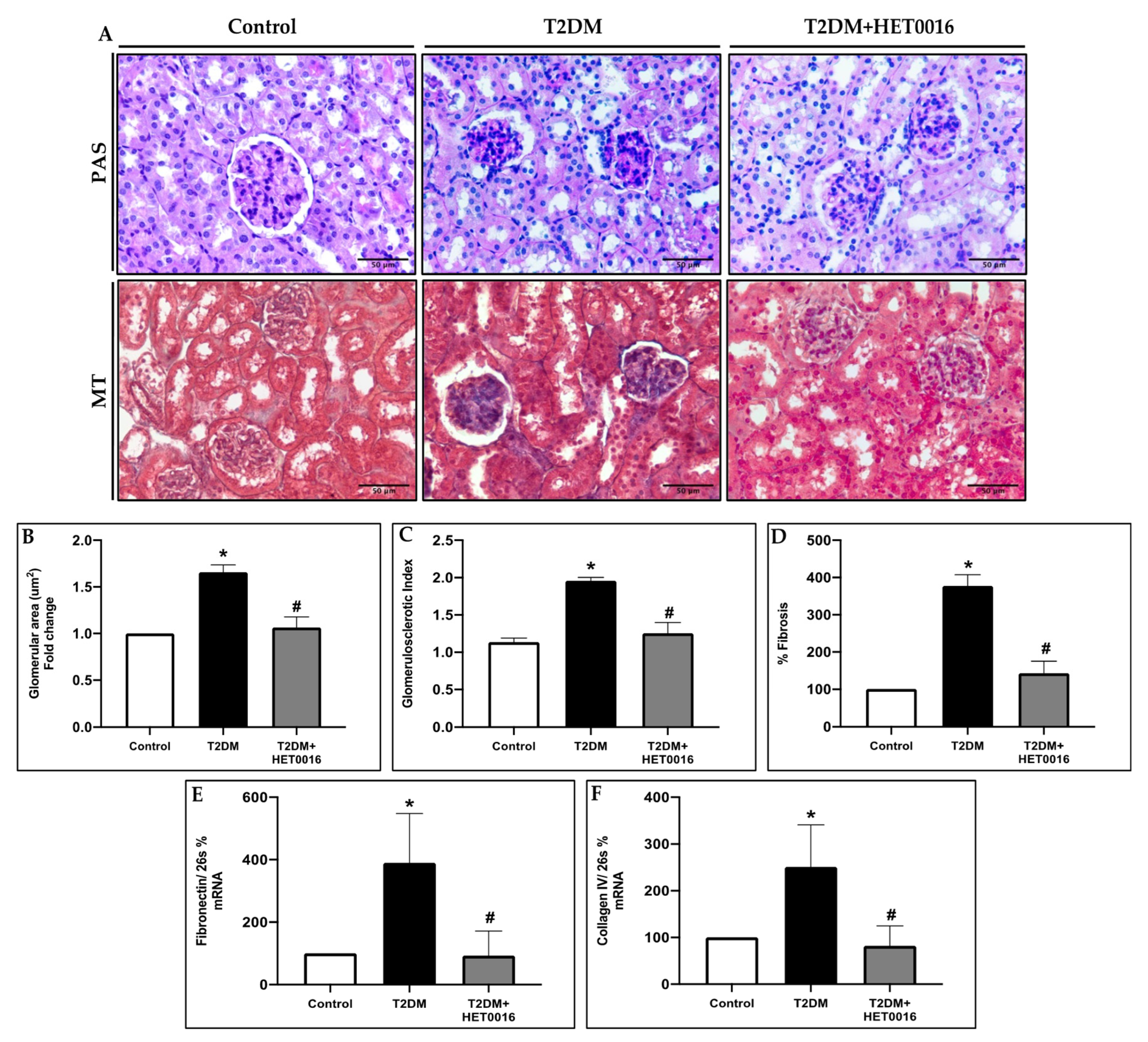 Pharmaceutics 15 00965 g005 Pharmaceutics 15 00965 g005