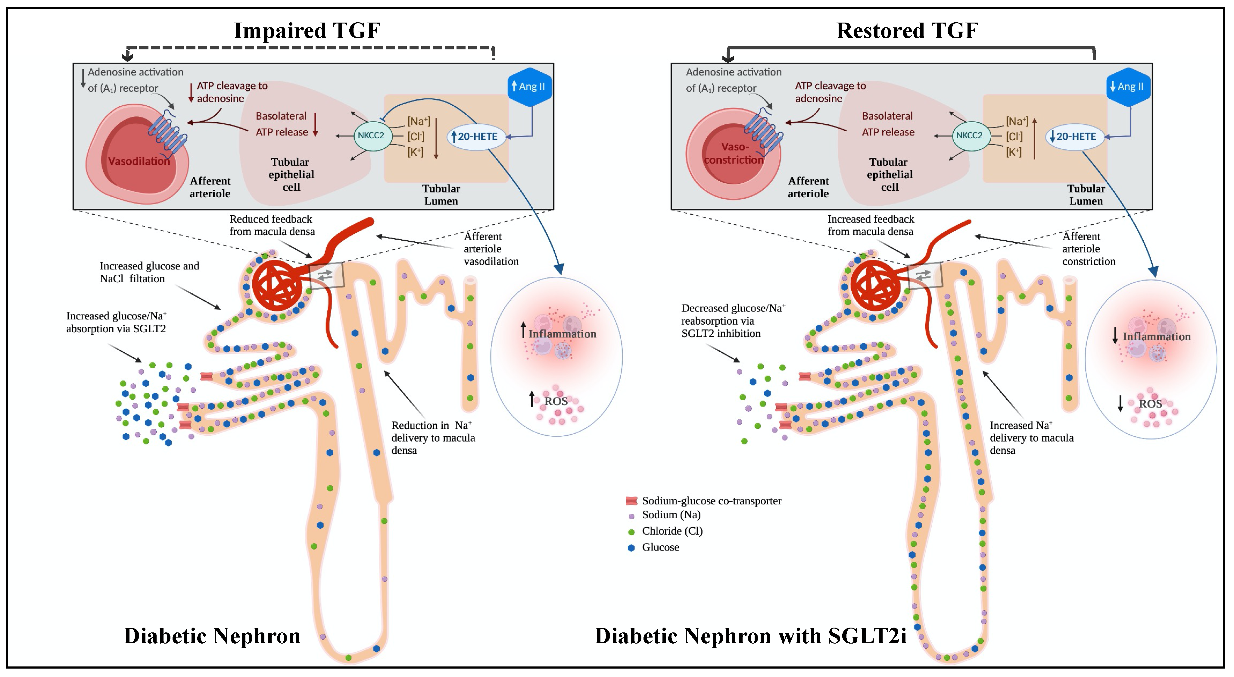 Pharmaceutics 15 00965 g007 Pharmaceutics 15 00965 g007