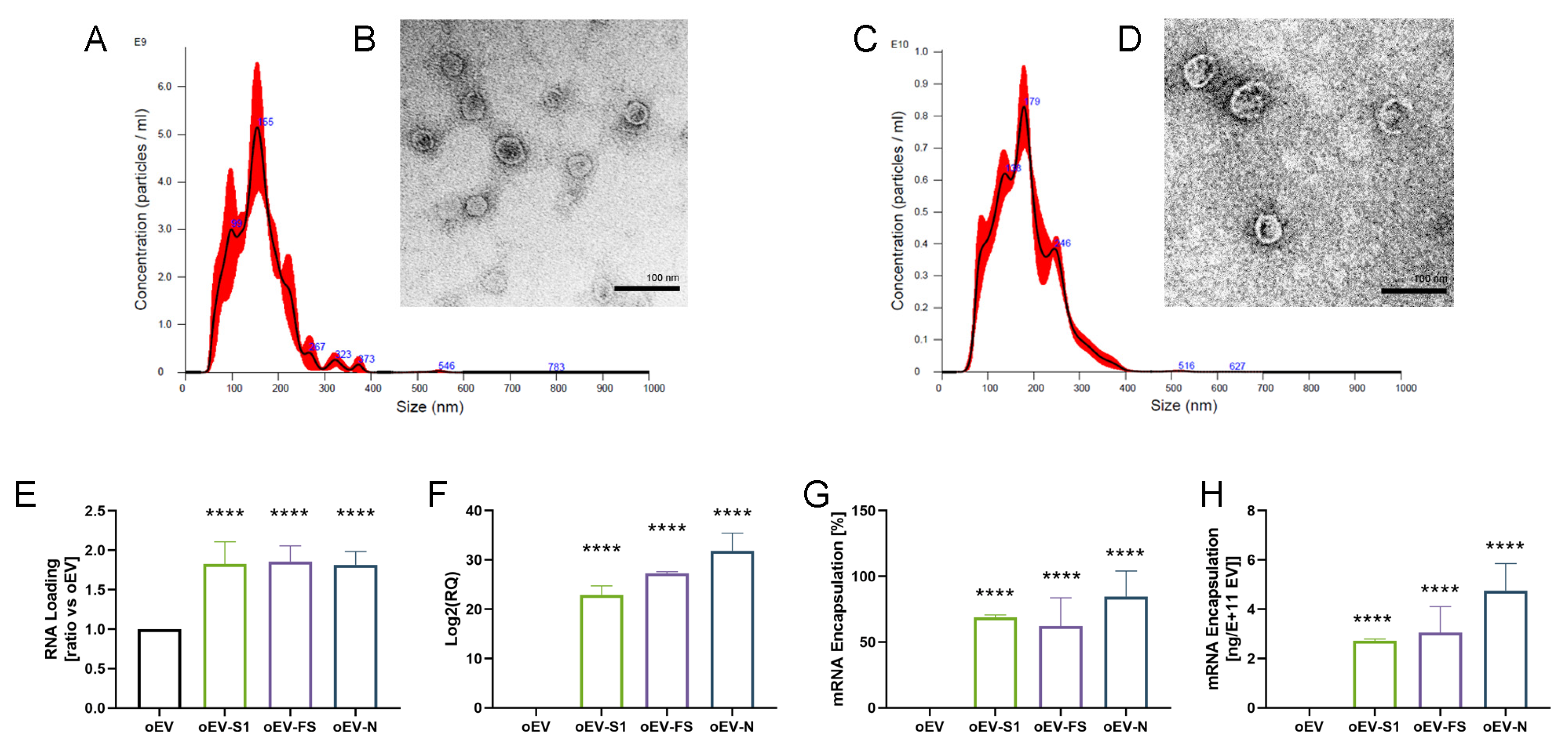 Pharmaceutics 15 00974 g001