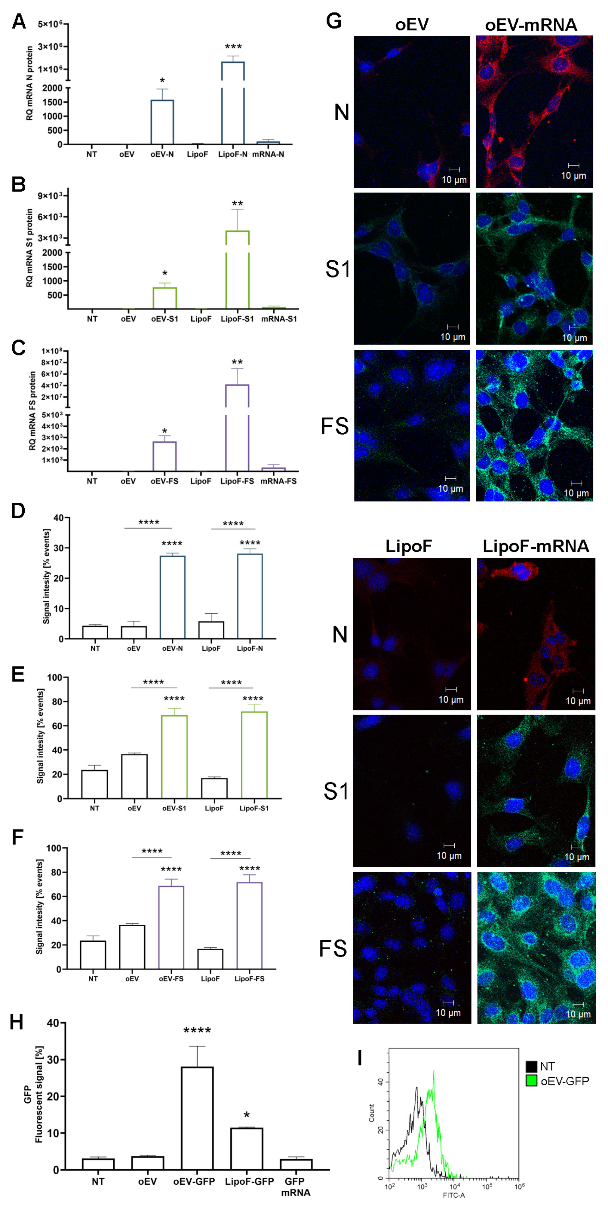 Pharmaceutics 15 00974 g003