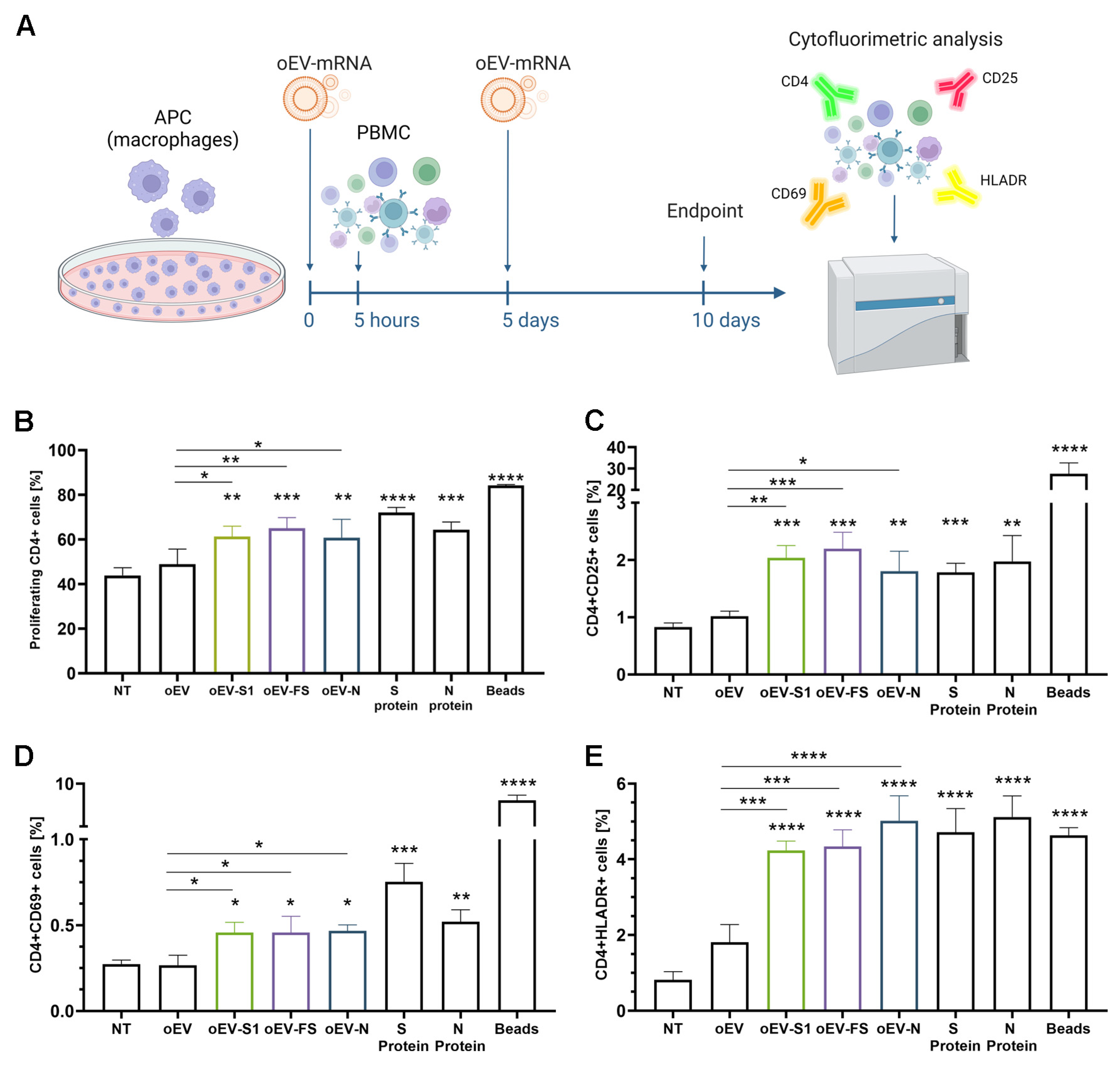 Pharmaceutics 15 00974 g004
