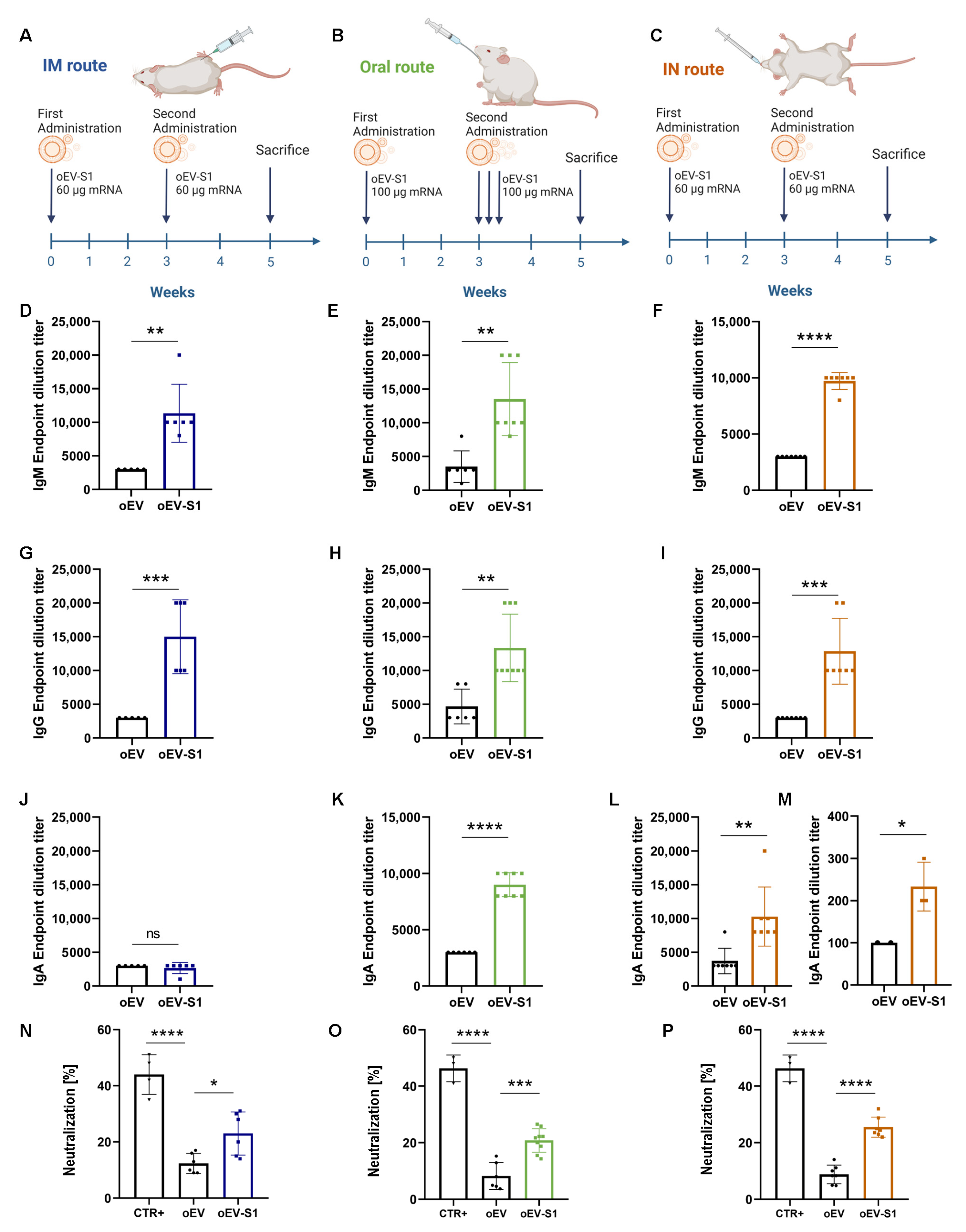 Pharmaceutics 15 00974 g005