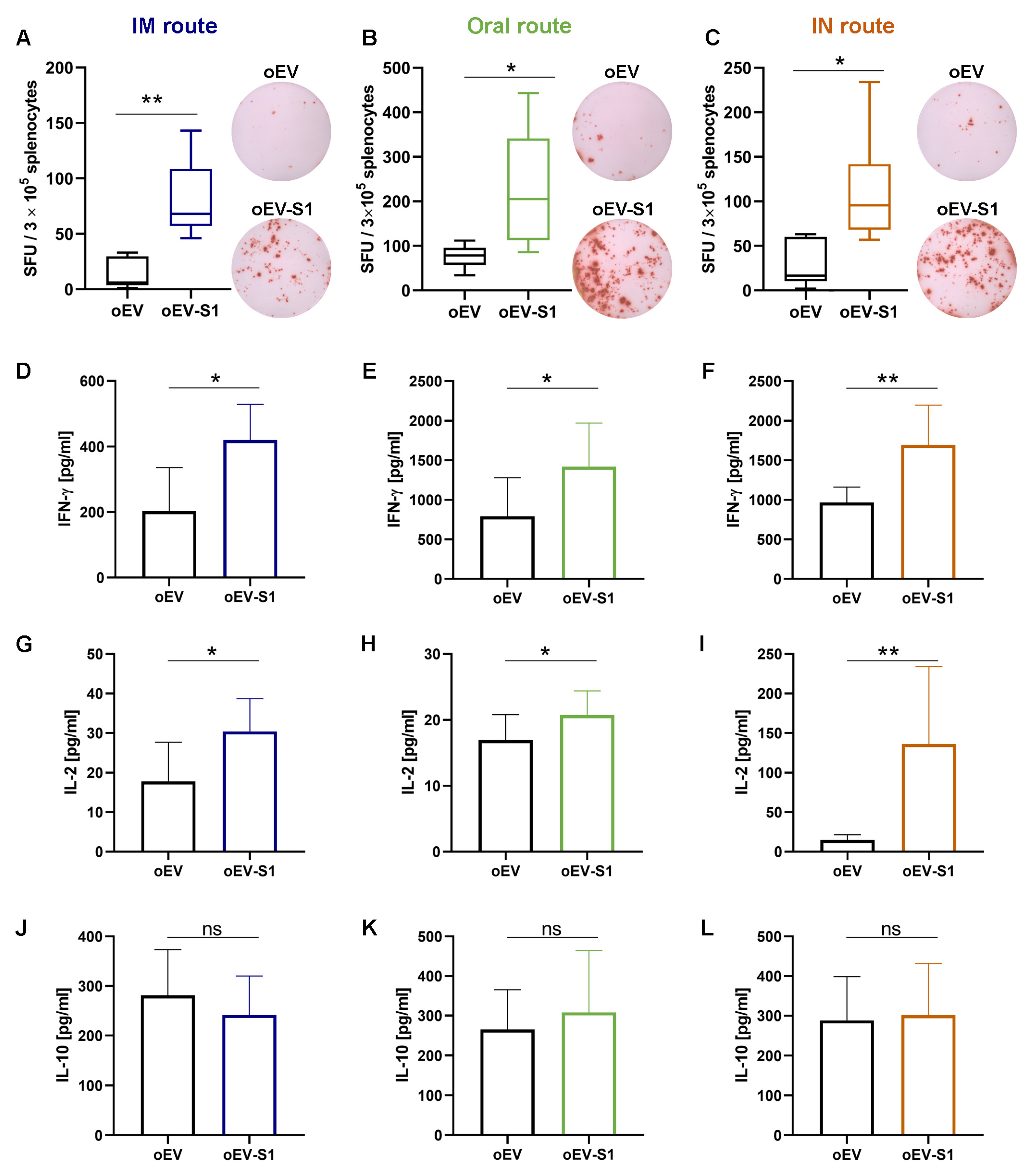 Pharmaceutics 15 00974 g006