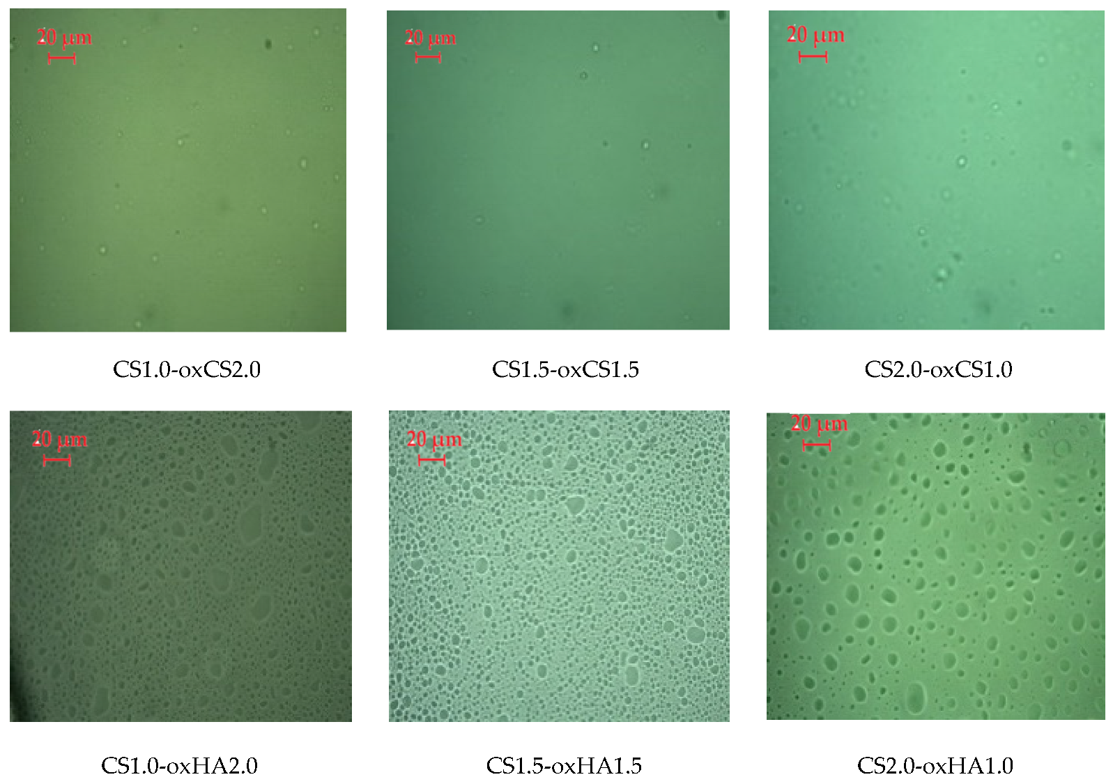 Pharmaceutics 15 00975 g002 Pharmaceutics 15 00975 g002