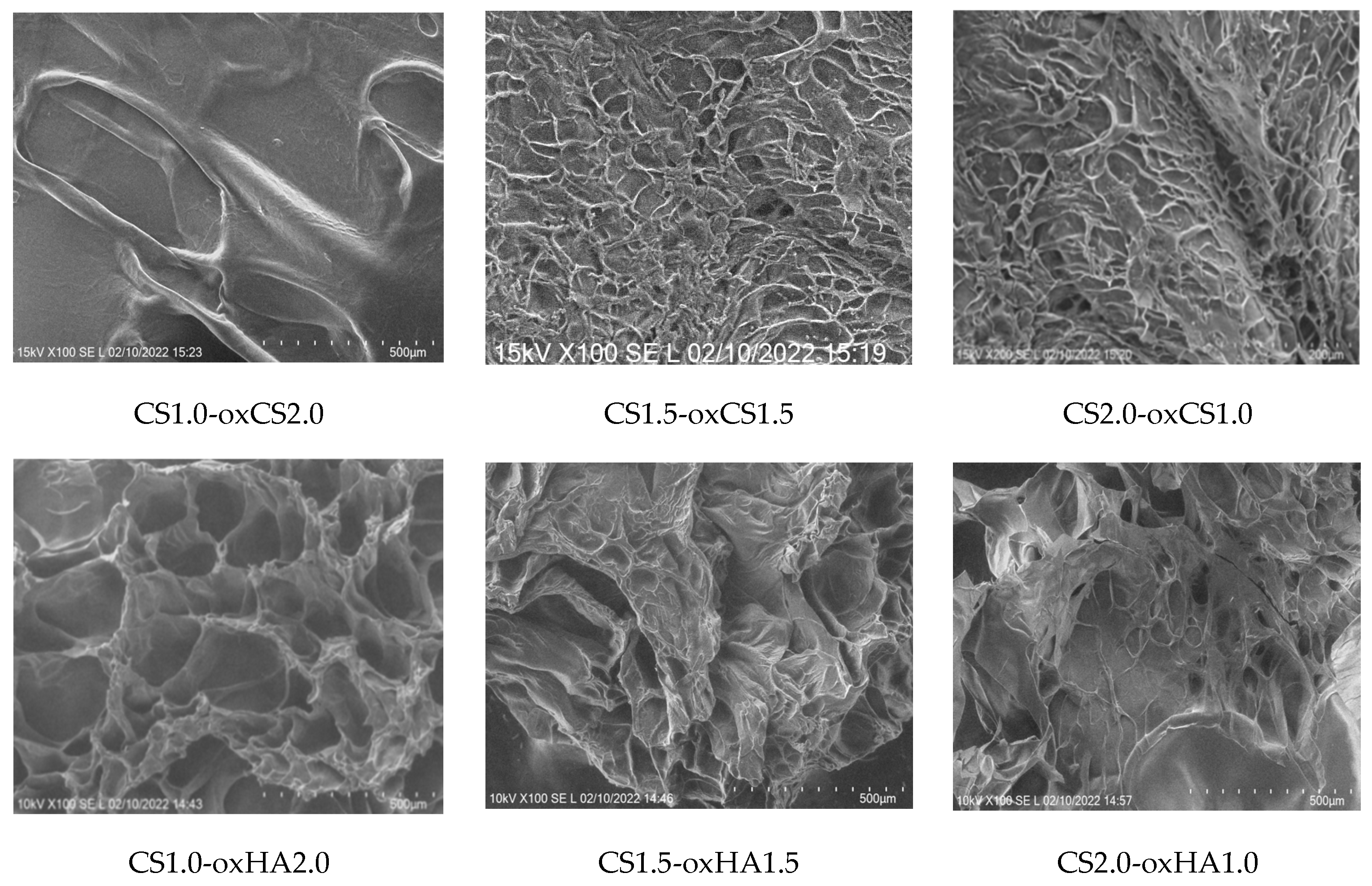 Pharmaceutics 15 00975 g004 Pharmaceutics 15 00975 g004